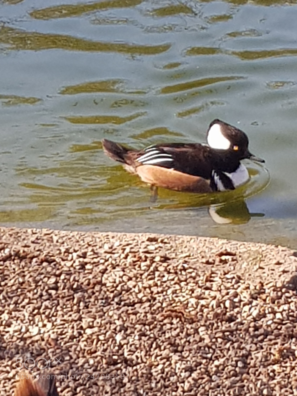 Samsung Galaxy S8 sample photo. Untitled photography