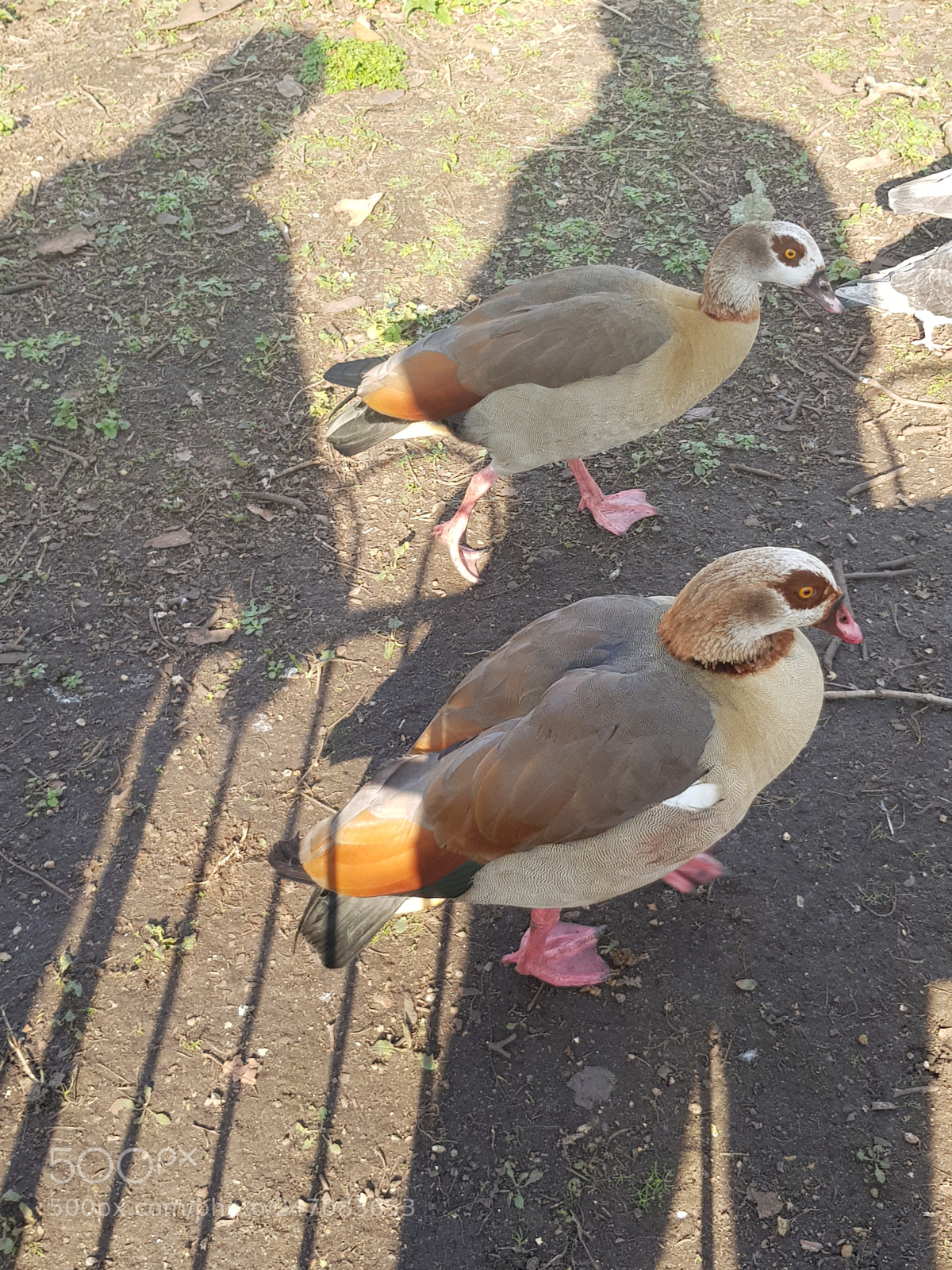 Samsung Galaxy S8 sample photo. Untitled photography