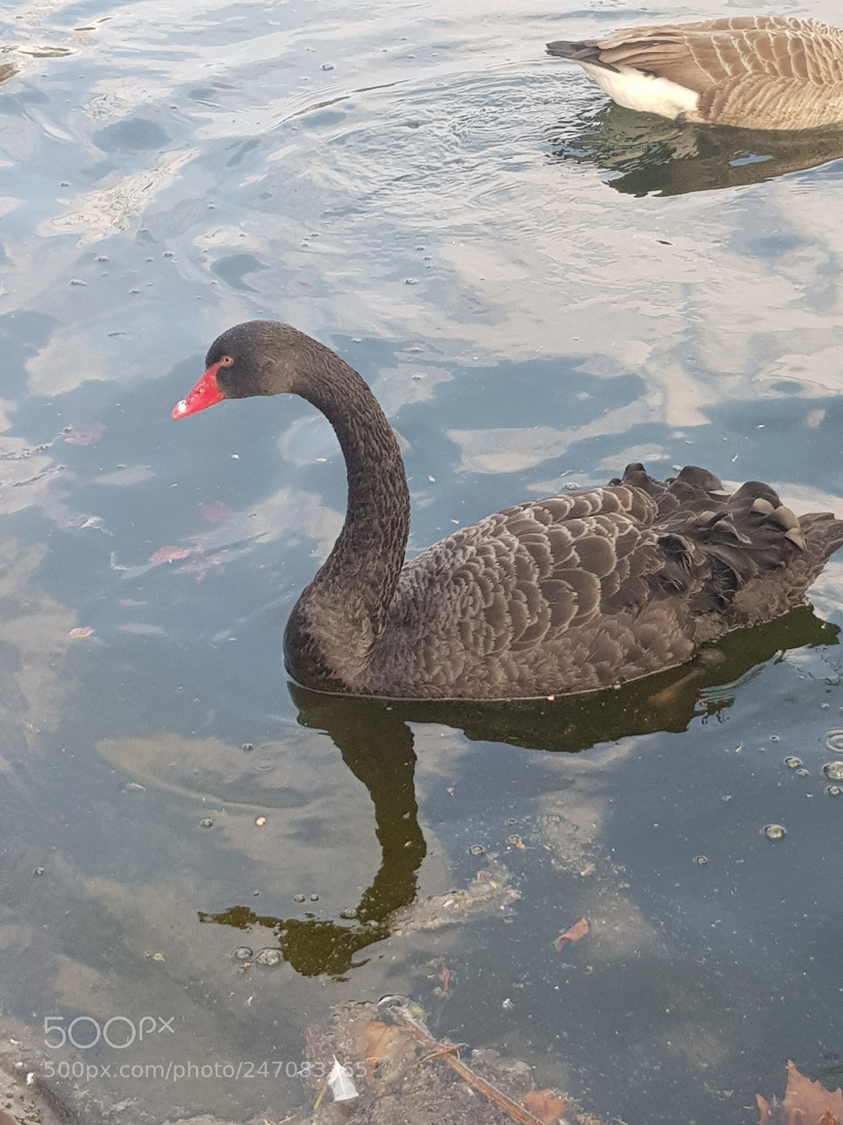 Samsung Galaxy S8 sample photo. Untitled photography