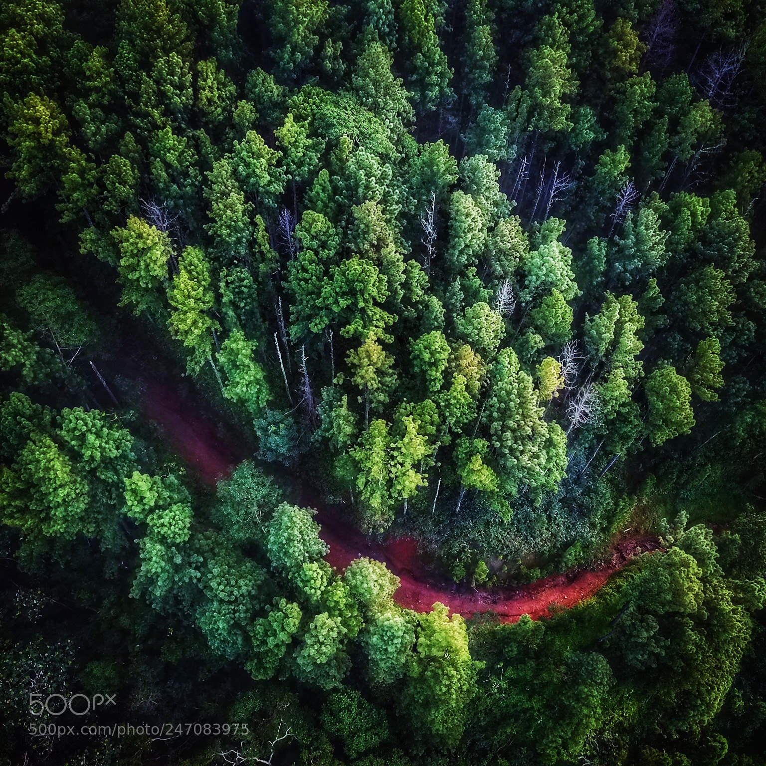 DJI FC220 sample photo. Untitled photography