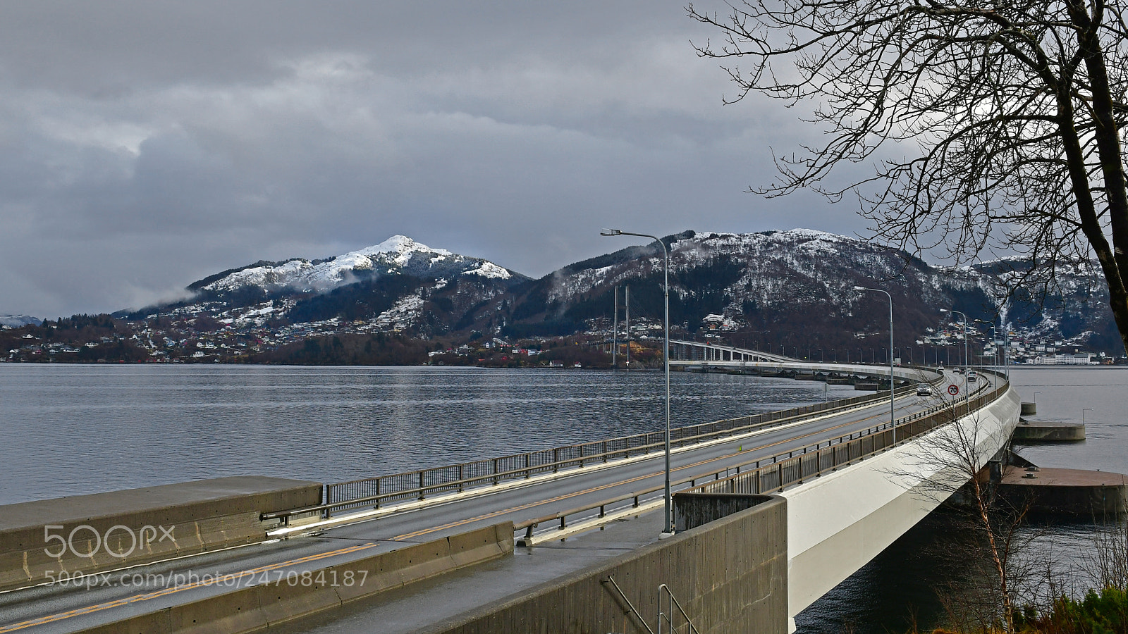 Nikon D500 sample photo. The bridge photography