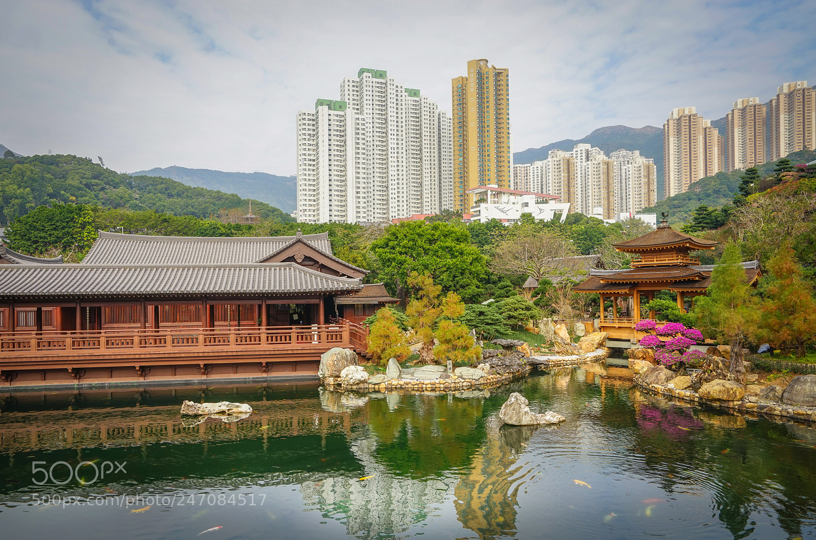Sony a7 sample photo. Nan lian garden in photography