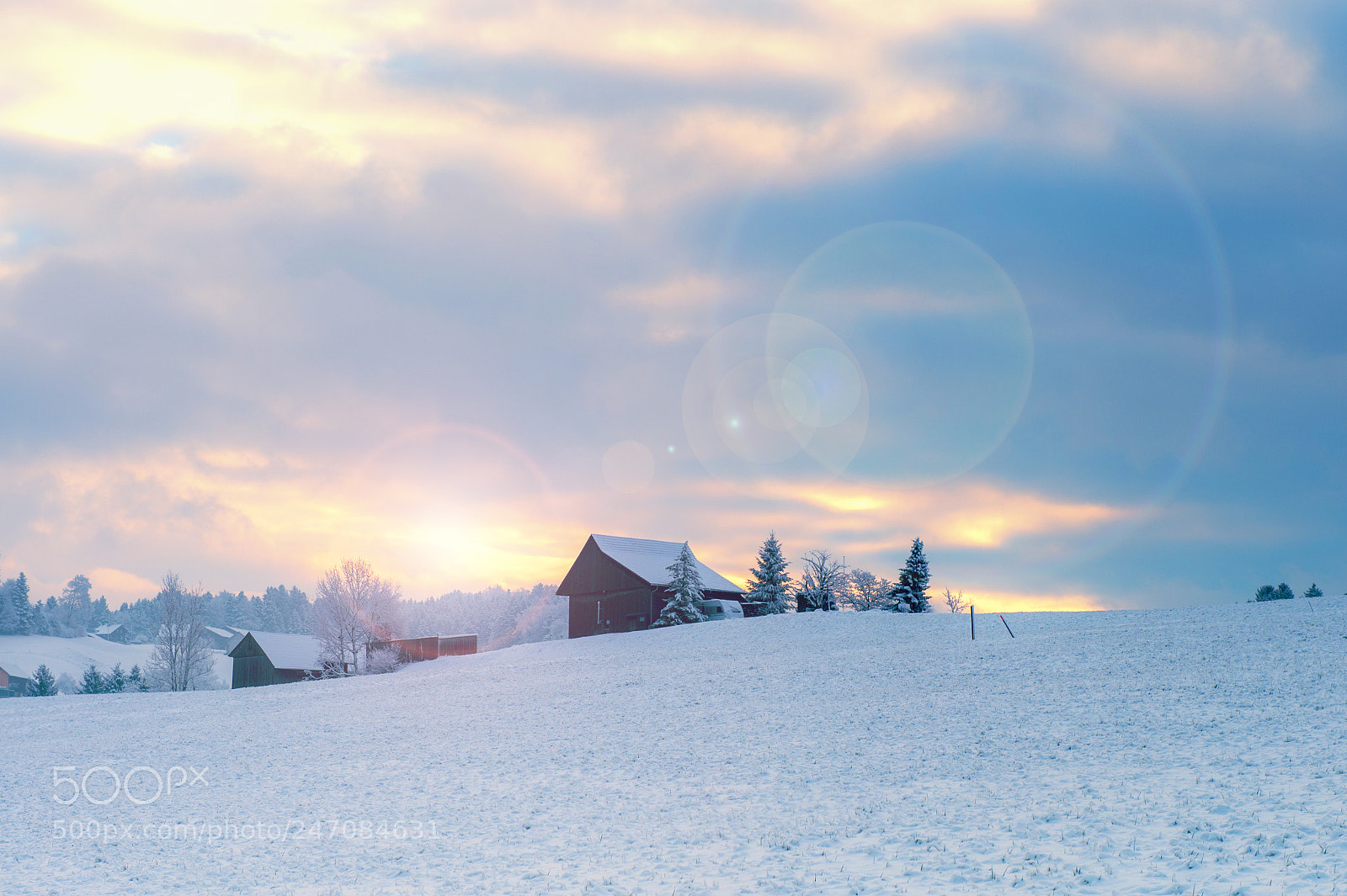 Nikon D4 sample photo. Winter snow photography