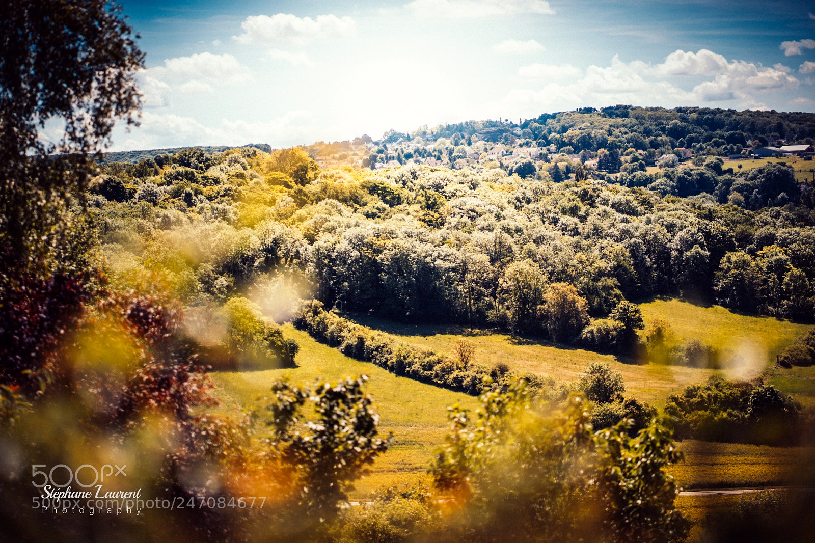 Sony a7 sample photo. Foresthill photography
