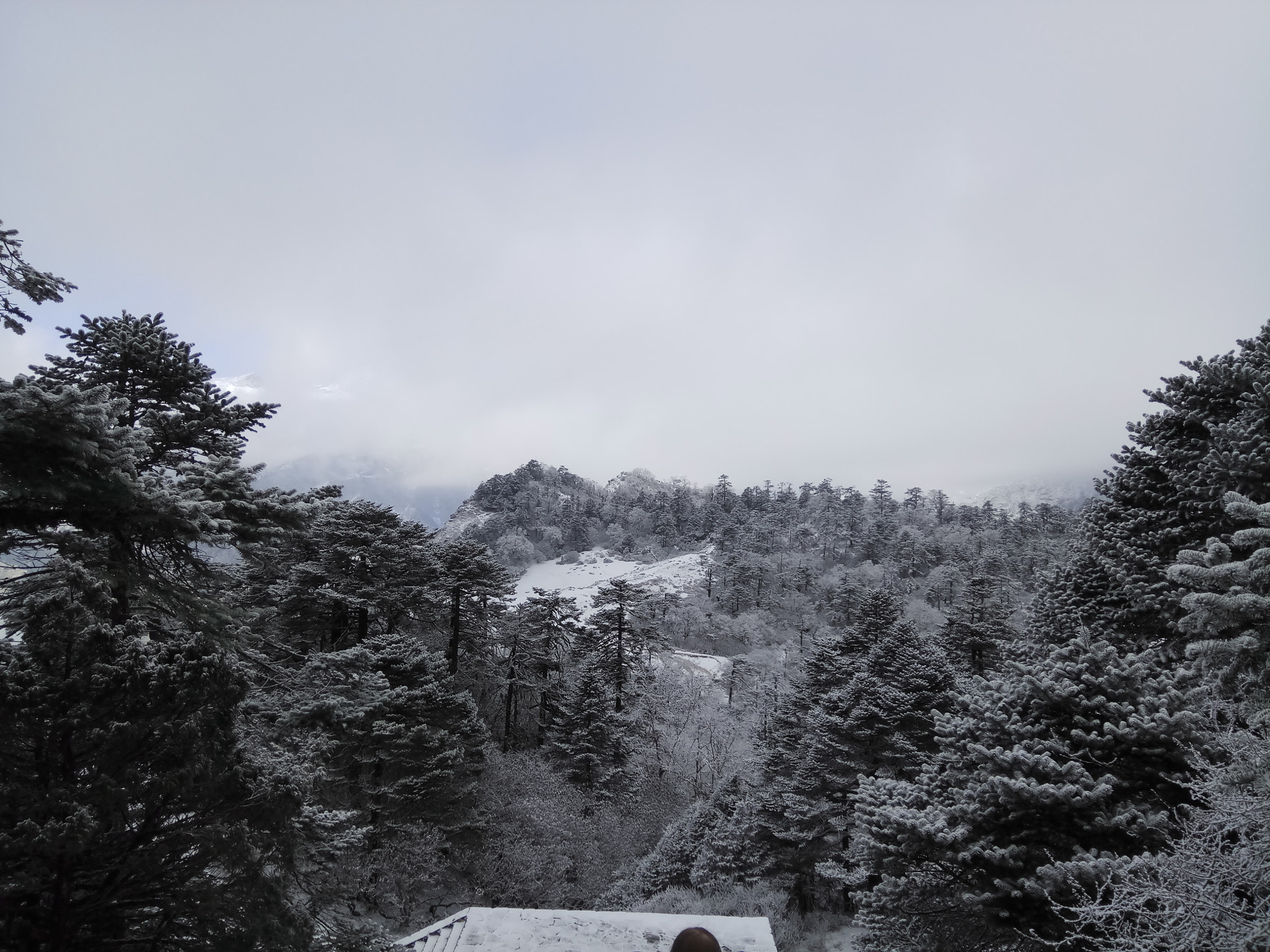 Xiaomi Redmi Pro sample photo
