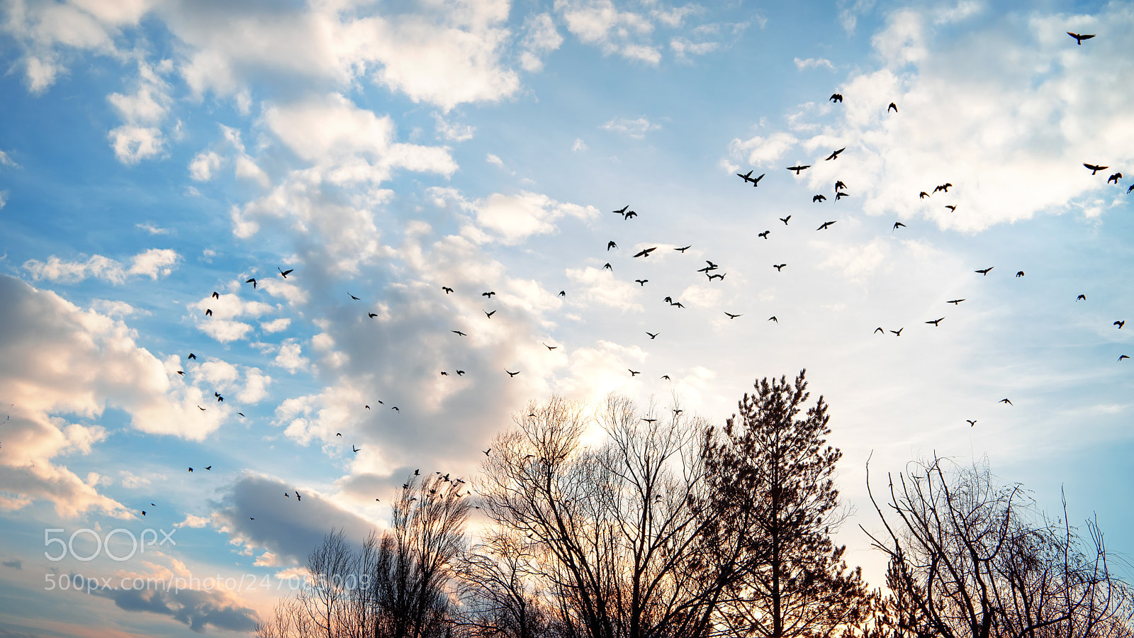 Sony a7 II sample photo. Spring is coming slowly photography