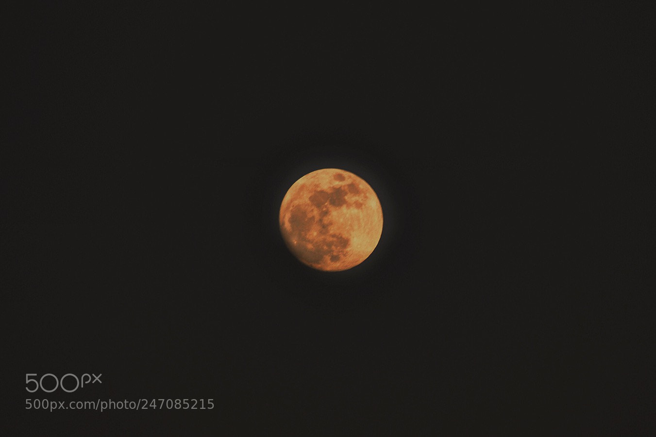 Nikon D3100 sample photo. N8 photography