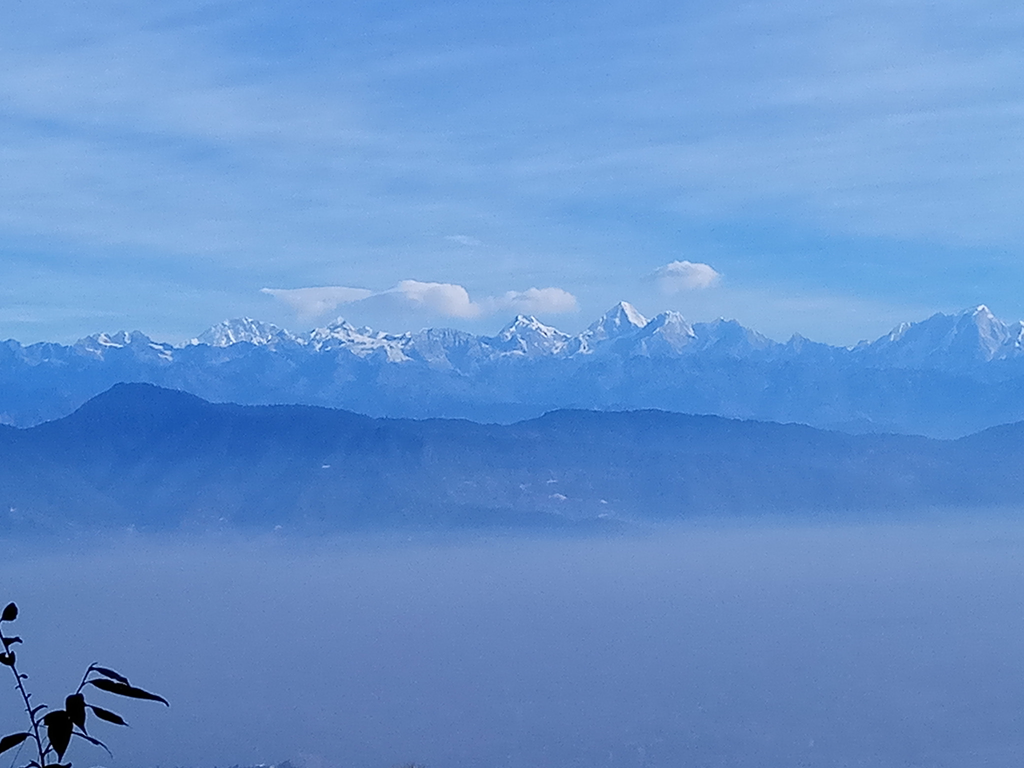 Xiaomi Redmi Pro sample photo
