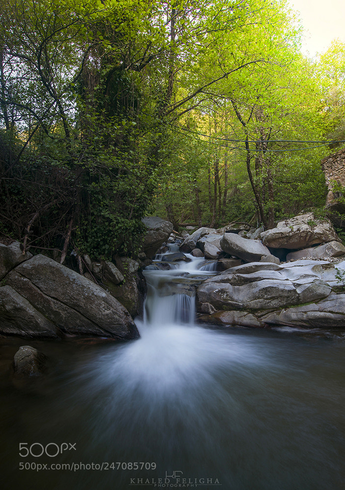 Nikon D600 sample photo. Beatiful algeria photography