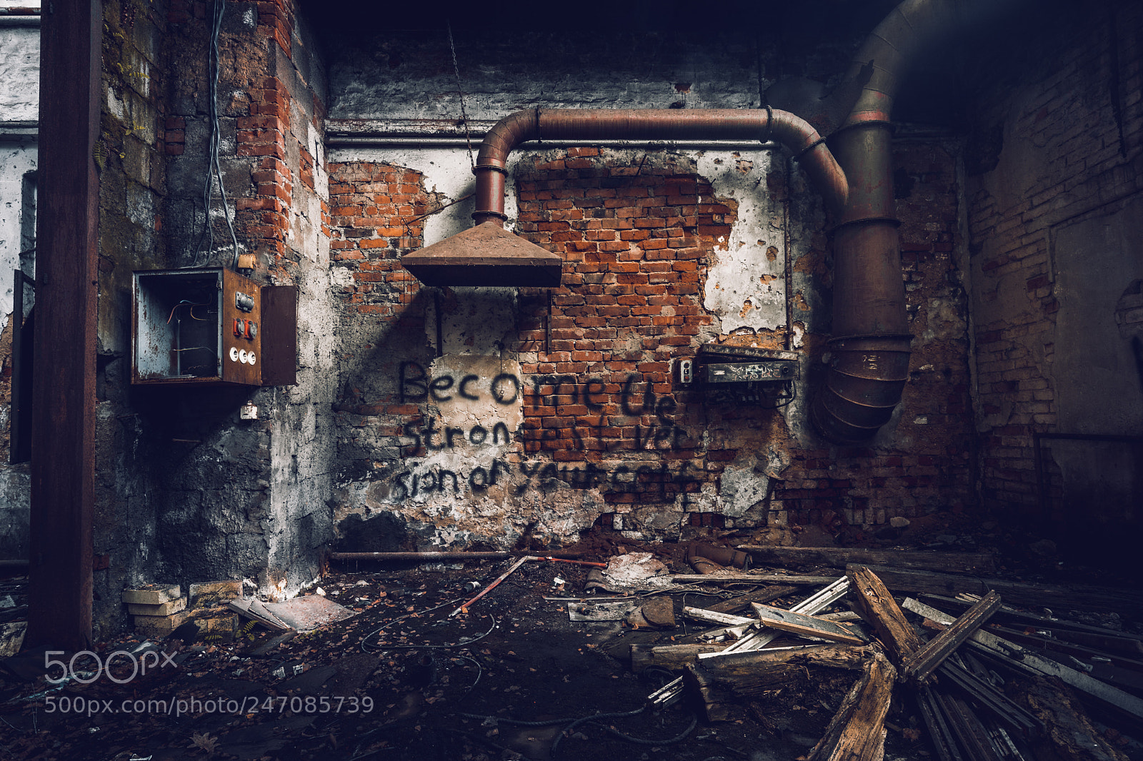 Canon EOS 6D Mark II sample photo. Tube photography