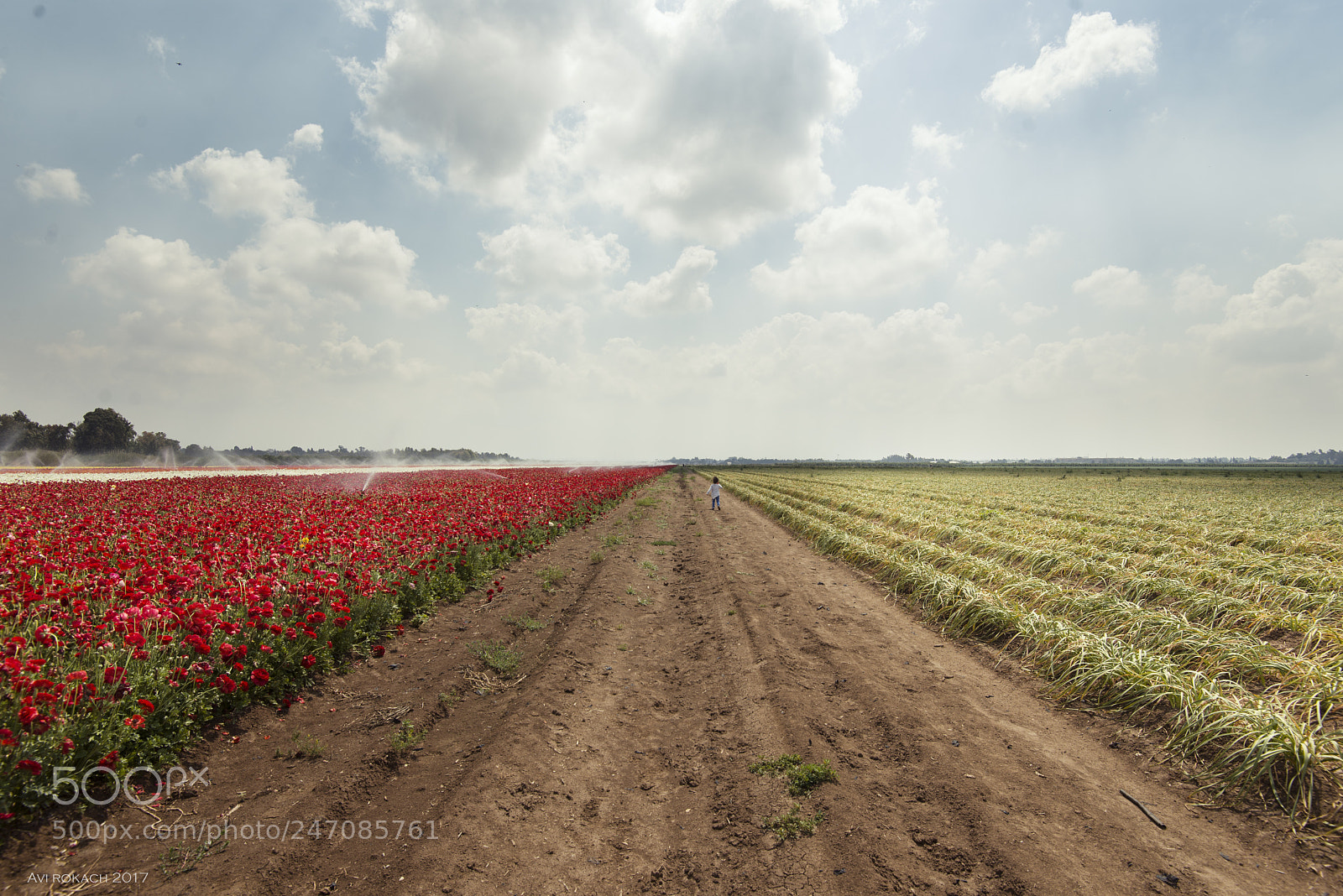 Nikon D610 sample photo. Land to sky photography