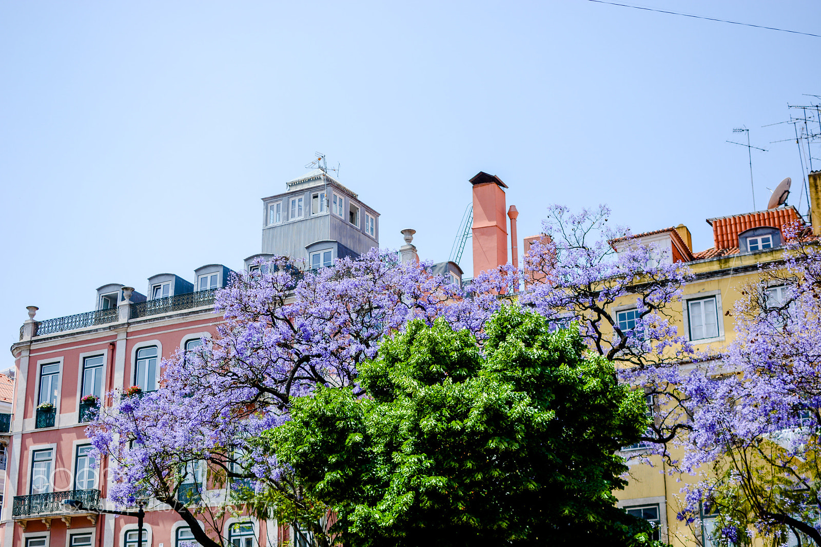 Nikon D7100 sample photo. Mix photography