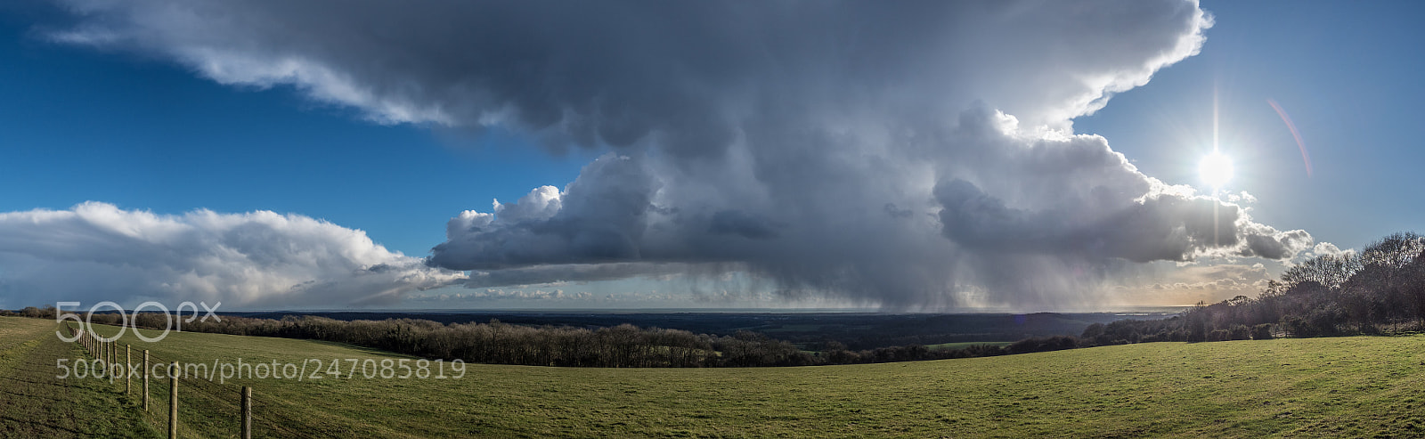 Olympus OM-D E-M1 Mark II sample photo. South downs photography