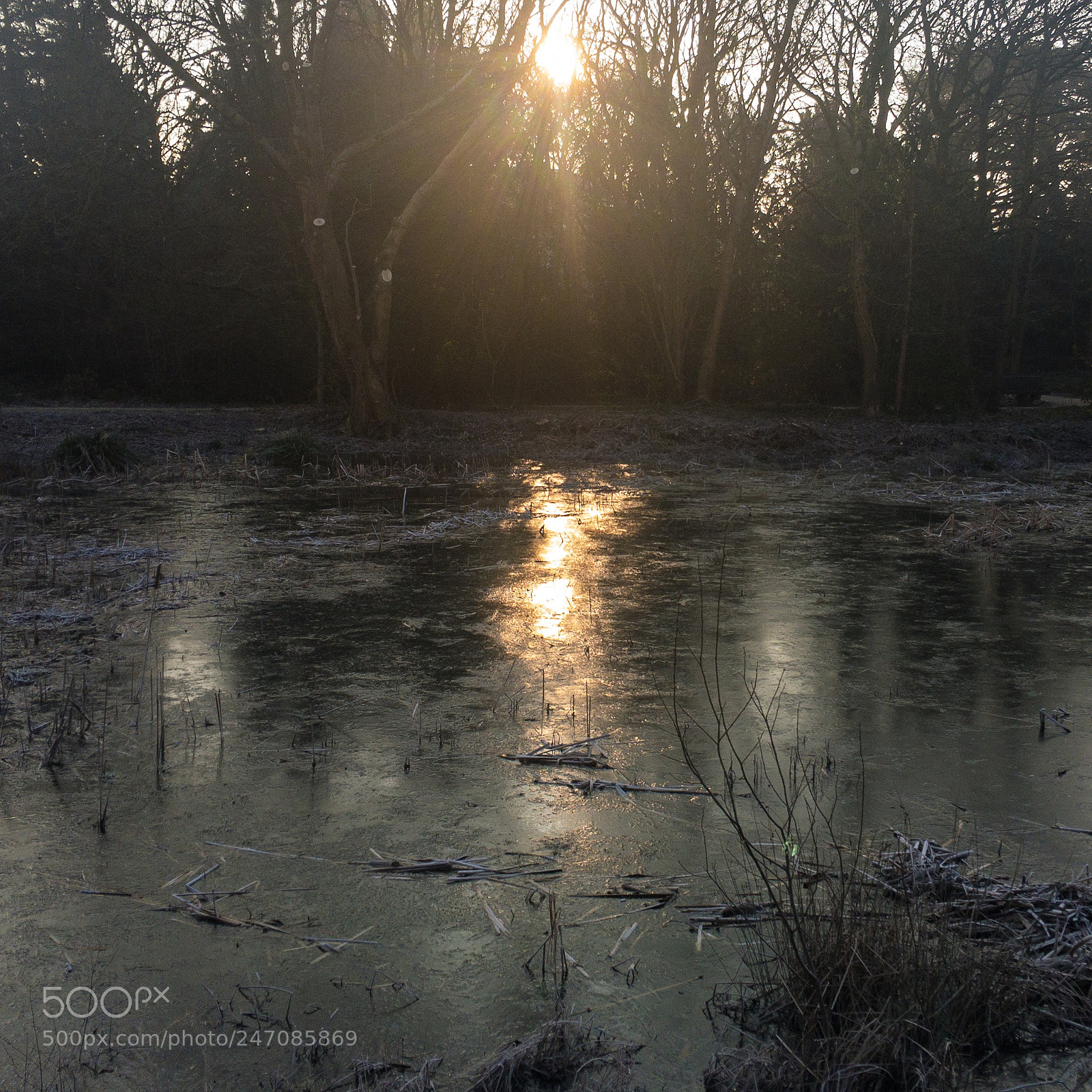 Apple iPhone 6s sample photo. Sunrise over frozen pond photography