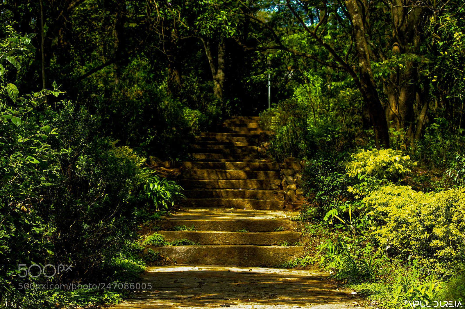 Canon EOS 1100D (EOS Rebel T3 / EOS Kiss X50) sample photo. Stairs to nowhere photography