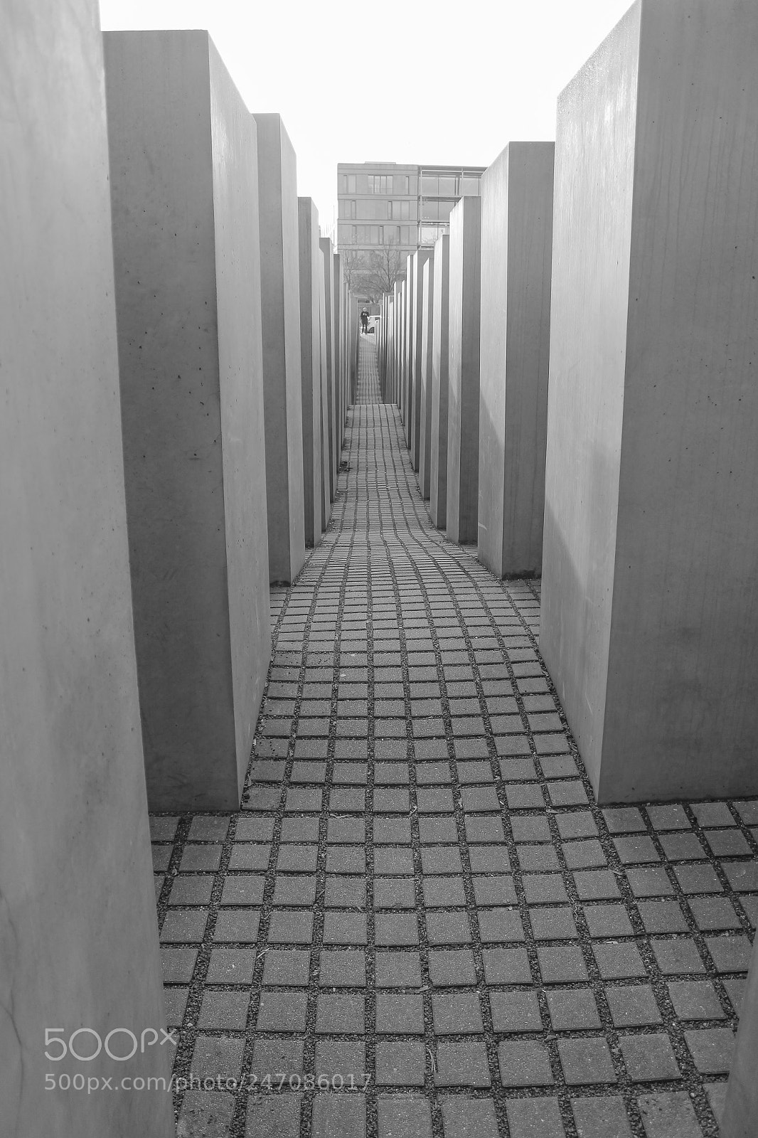 Canon EOS 600D (Rebel EOS T3i / EOS Kiss X5) sample photo. Salvatore zizi the olocaust photography