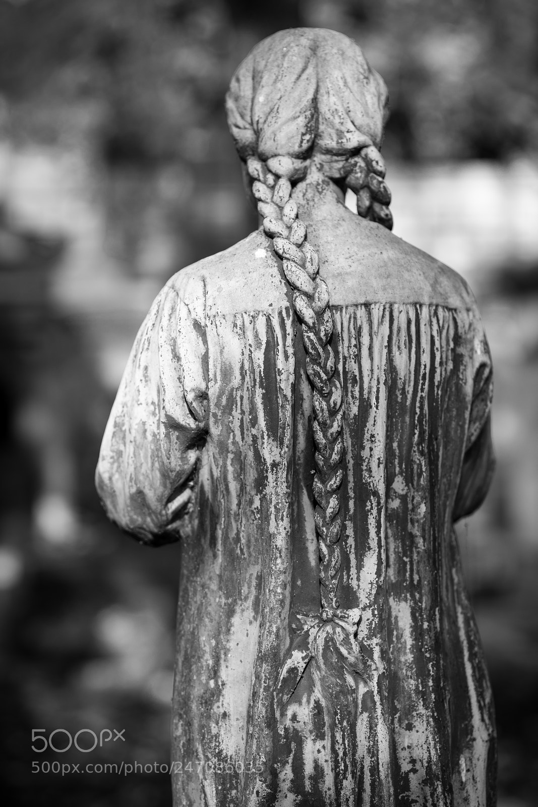 Nikon D850 sample photo. In memoriam photography