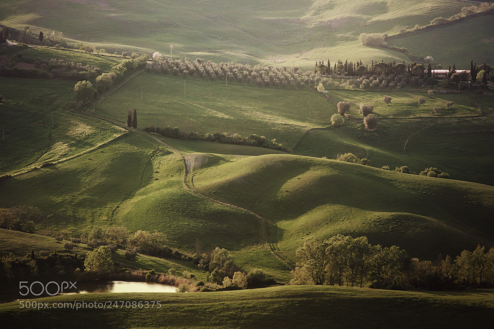 Nikon D90 sample photo. Val d'orcia photography