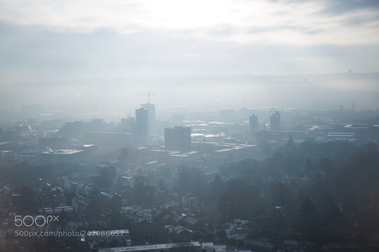 Sony a7R III sample photo. Such a cold and photography