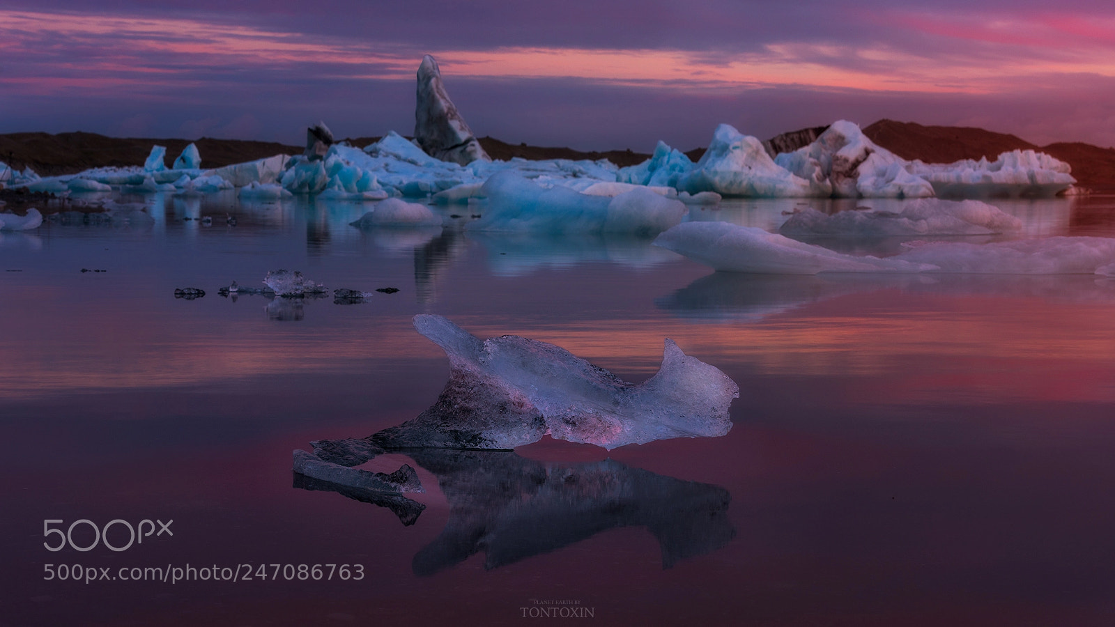 Nikon D810 sample photo. Frozen fish photography