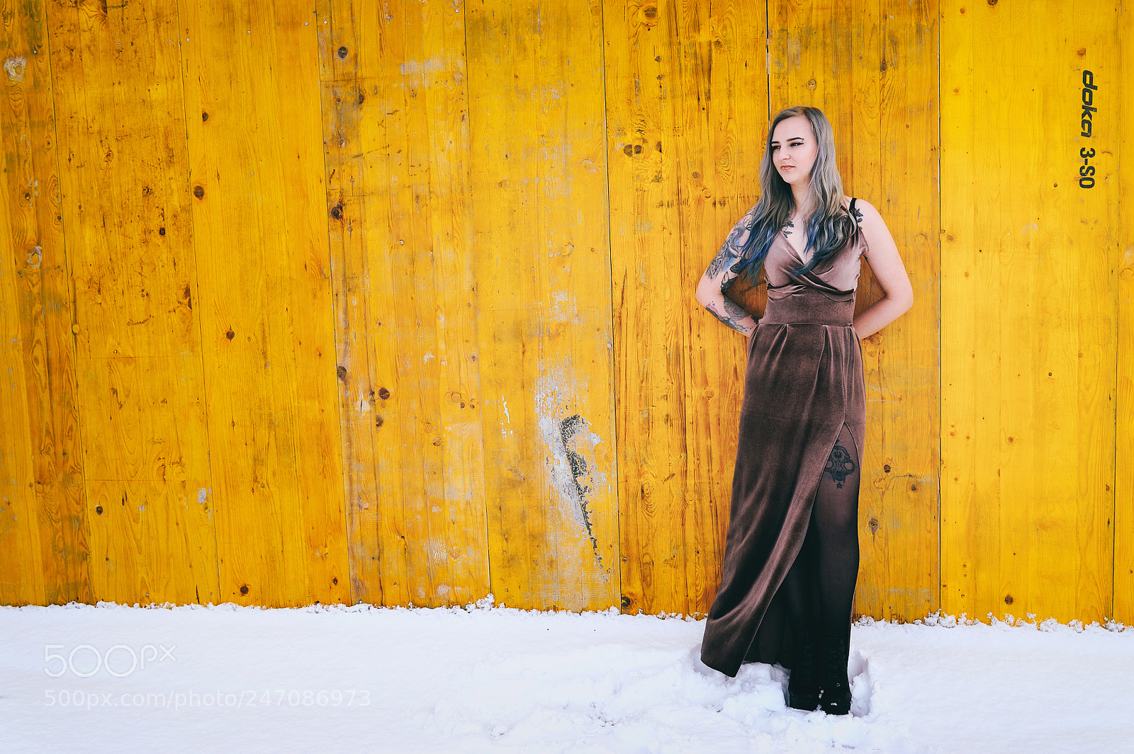 Nikon D700 sample photo. Brown dress photography