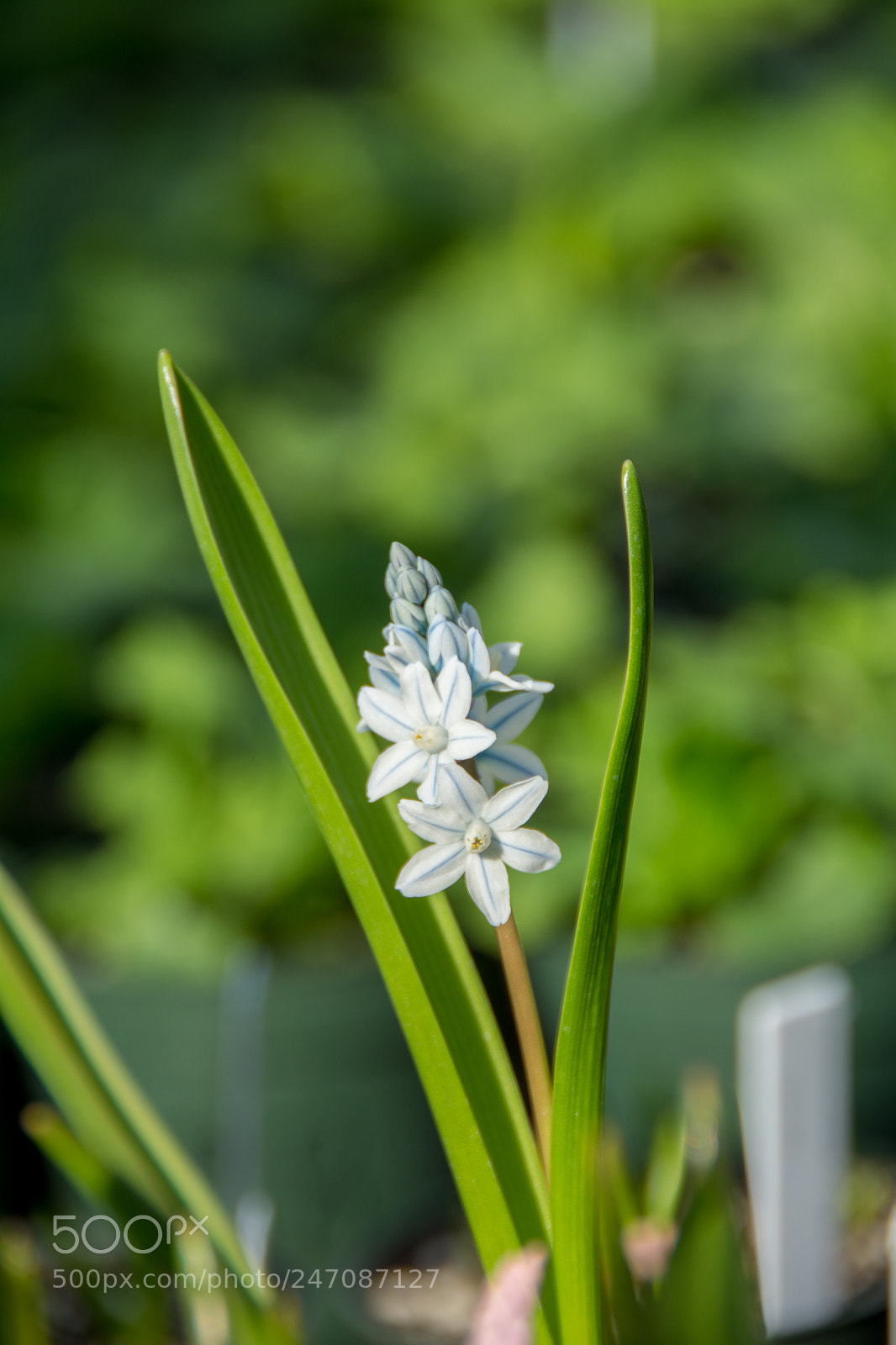 Nikon D7100 sample photo. Untitled photography
