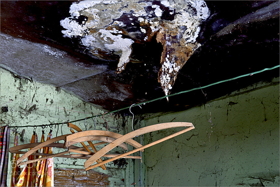 Nikon D610 sample photo. Show of empty hangers photography
