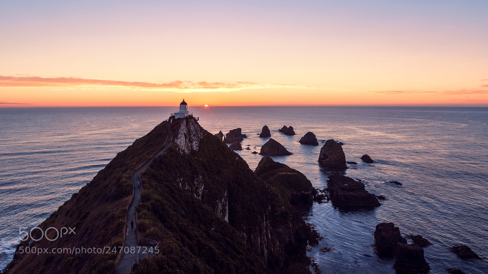 Canon EOS-1D X Mark II sample photo. Nugget point photography