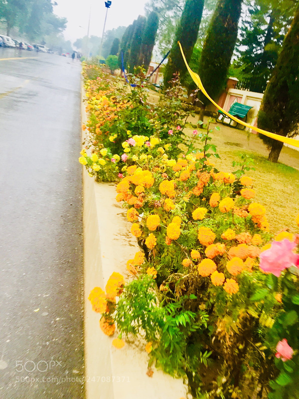 Apple iPhone 6 sample photo. Untitled photography