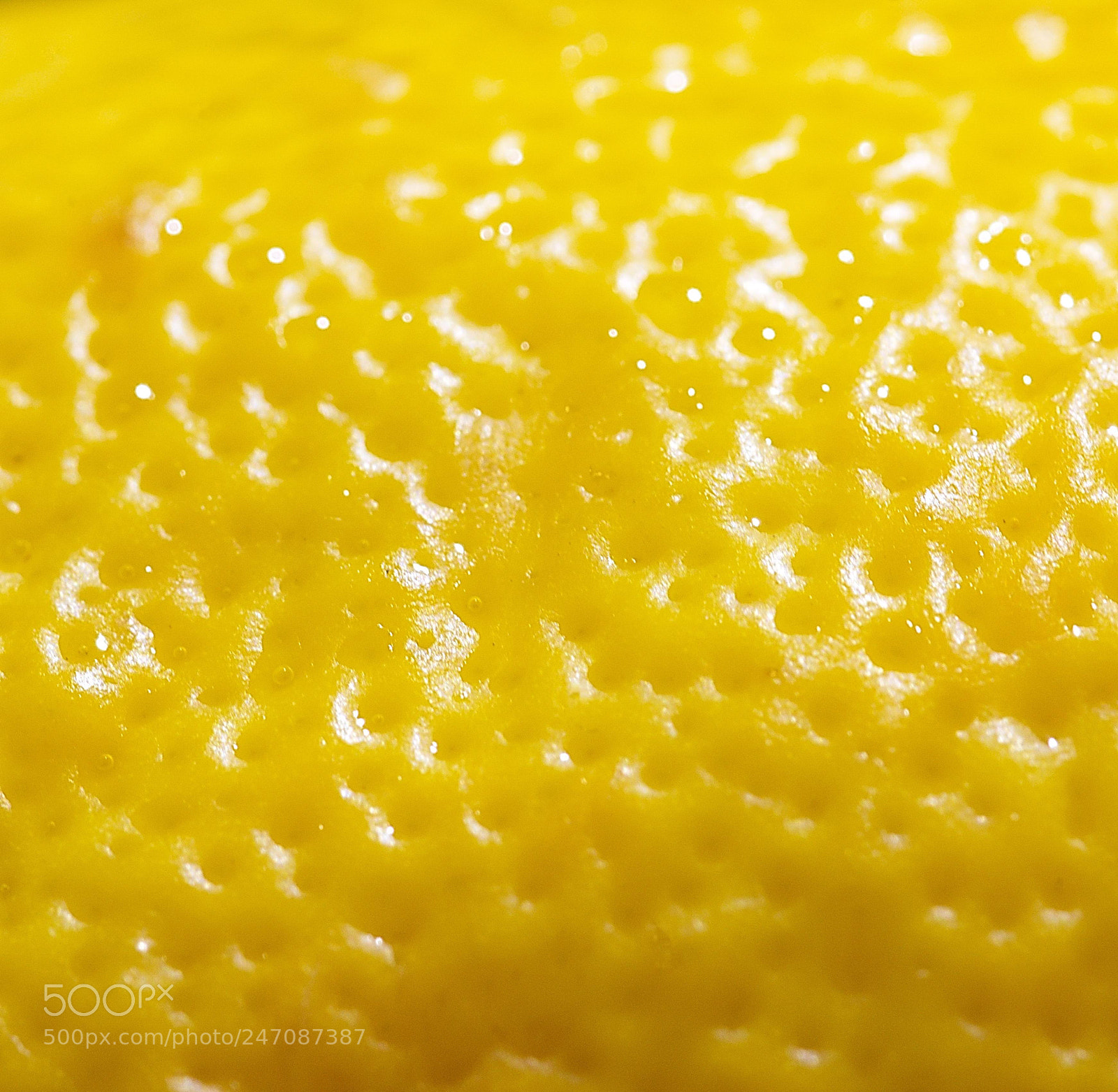 Nikon D7200 sample photo. Just liked the yellow photography