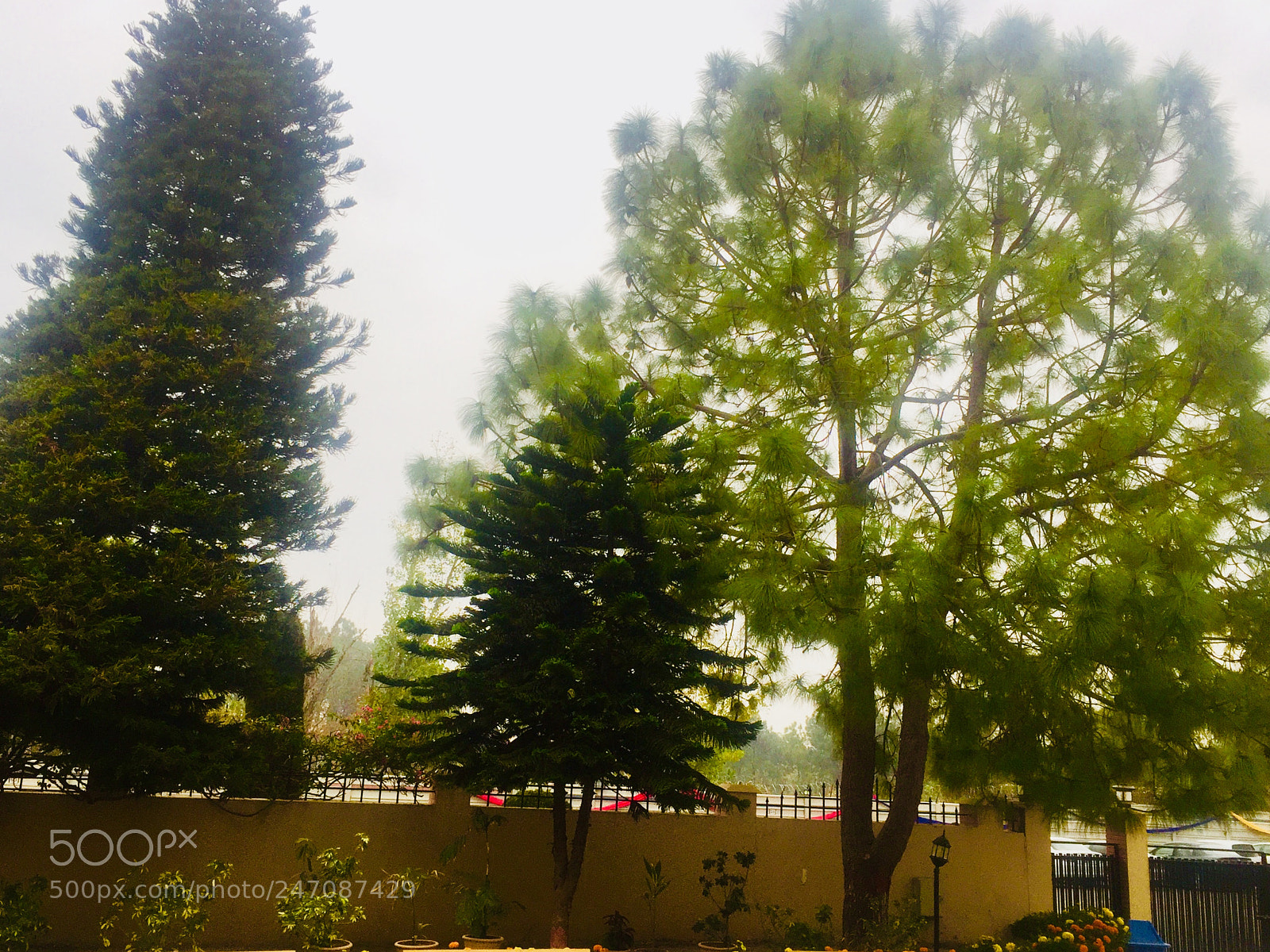 Apple iPhone 6 sample photo. Untitled photography