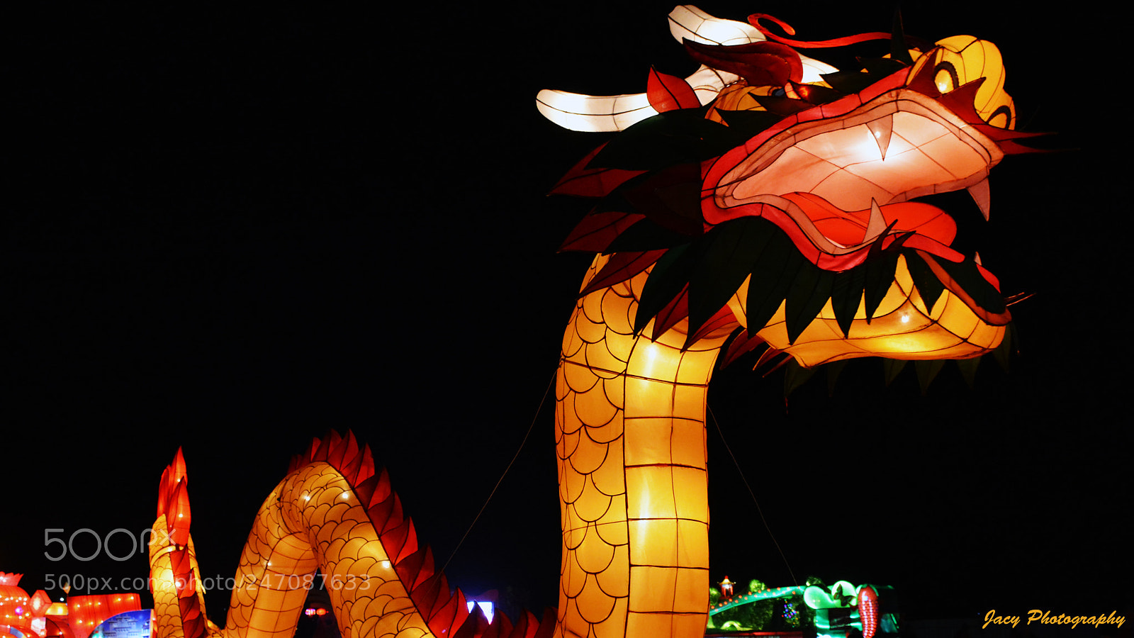 Nikon D7100 sample photo. Dragon light photography