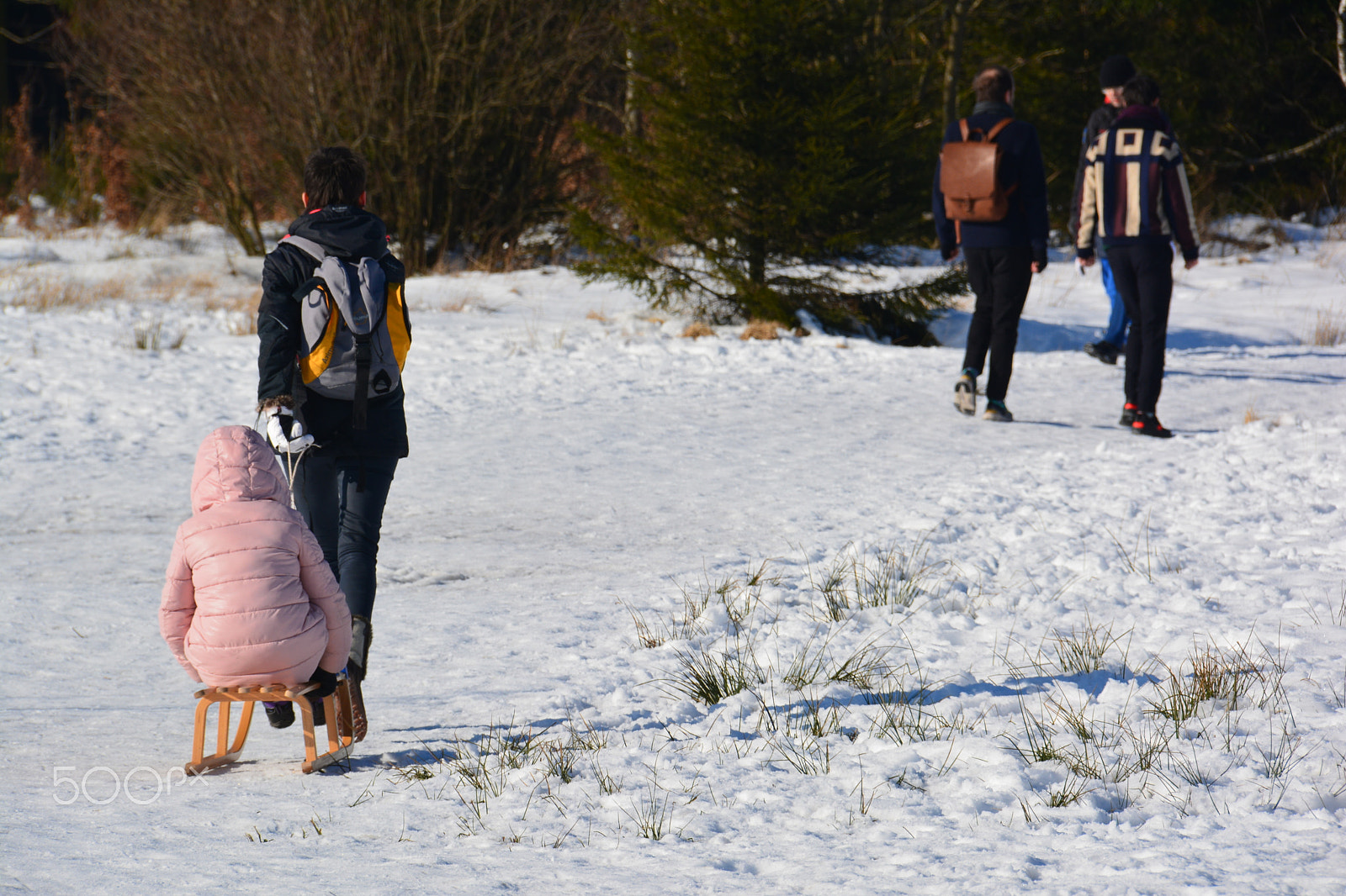 Nikon D5200 sample photo. Winter pleasures photography