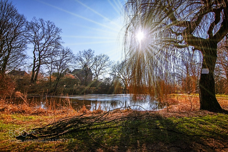 Canon EOS 7D sample photo. Burg linn photography