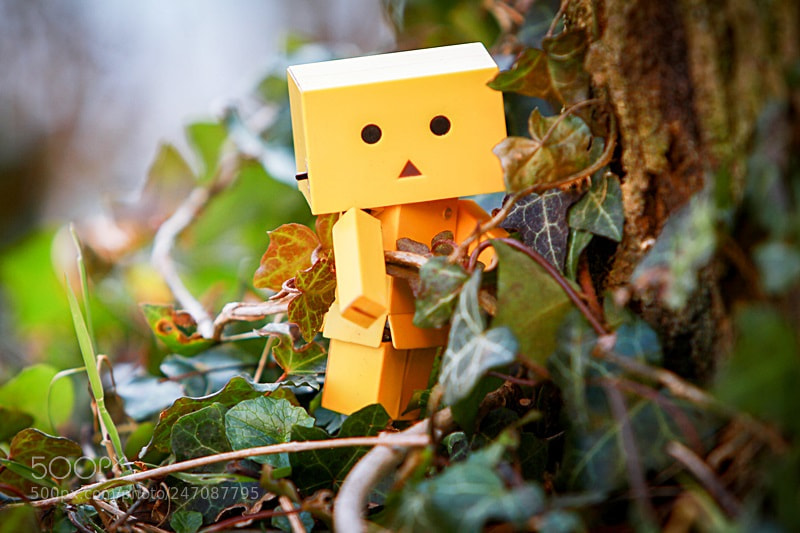 Canon EOS 7D sample photo. Danbo on tour photography