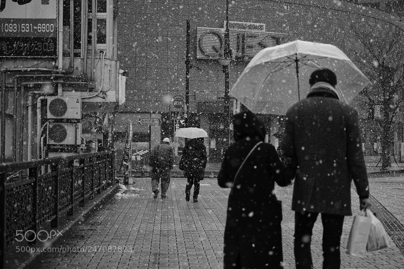 Sigma DP3 Merrill sample photo. Snowyday photography