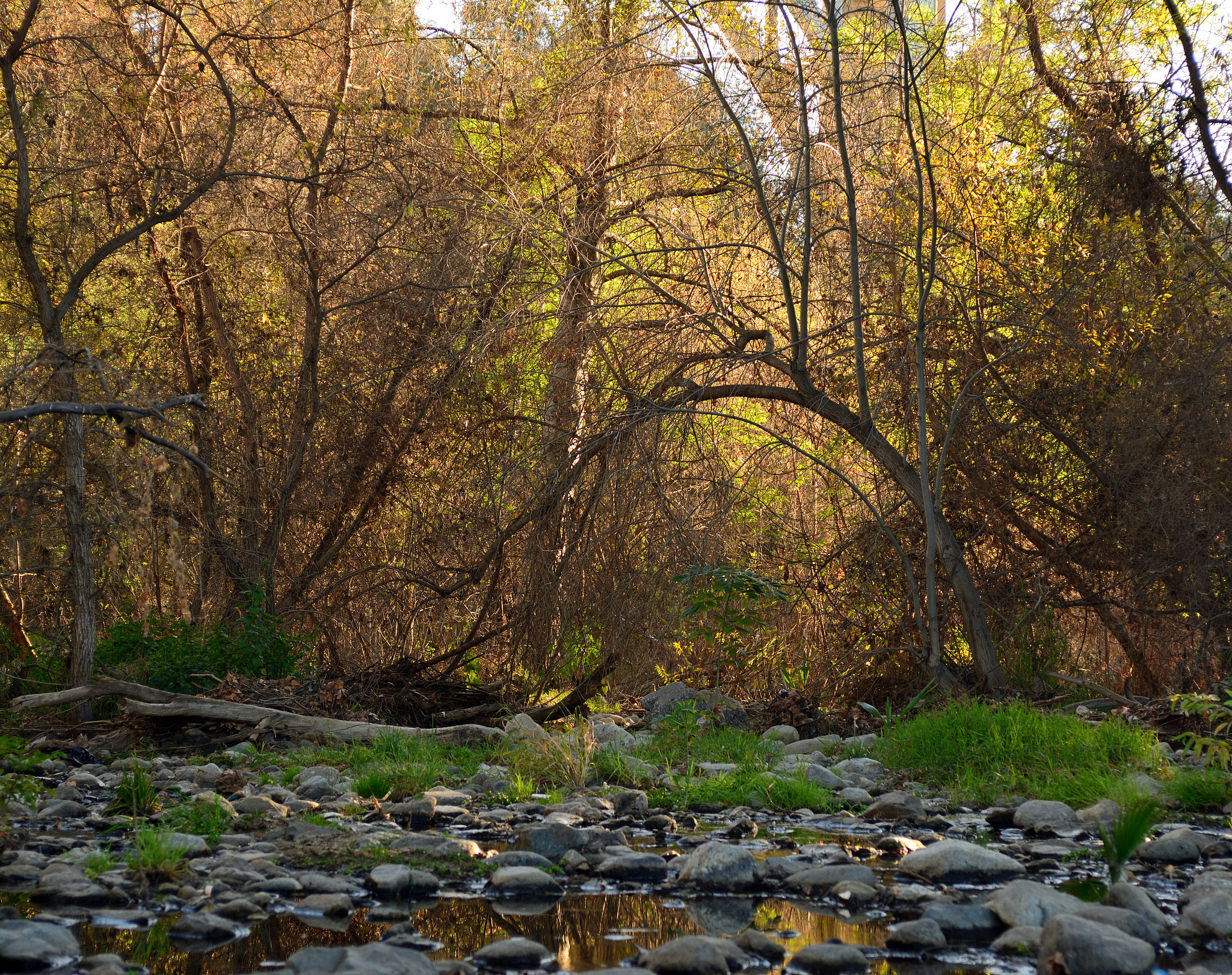 AF Zoom-Nikkor 28-85mm f/3.5-4.5 sample photo. Sunset on the trail photography