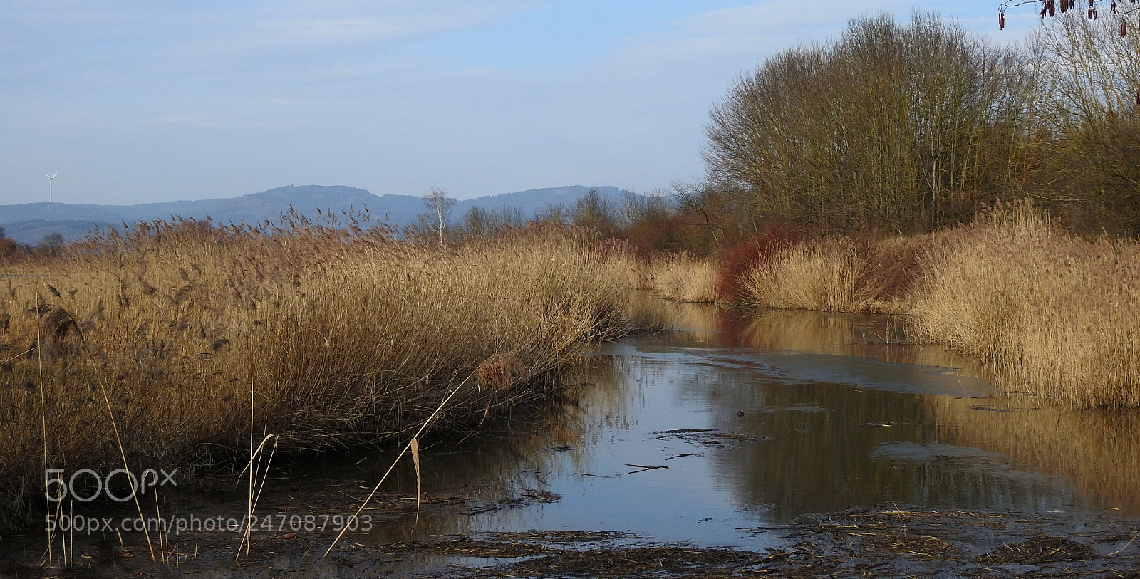 Nikon Coolpix P900 sample photo. An der donau photography