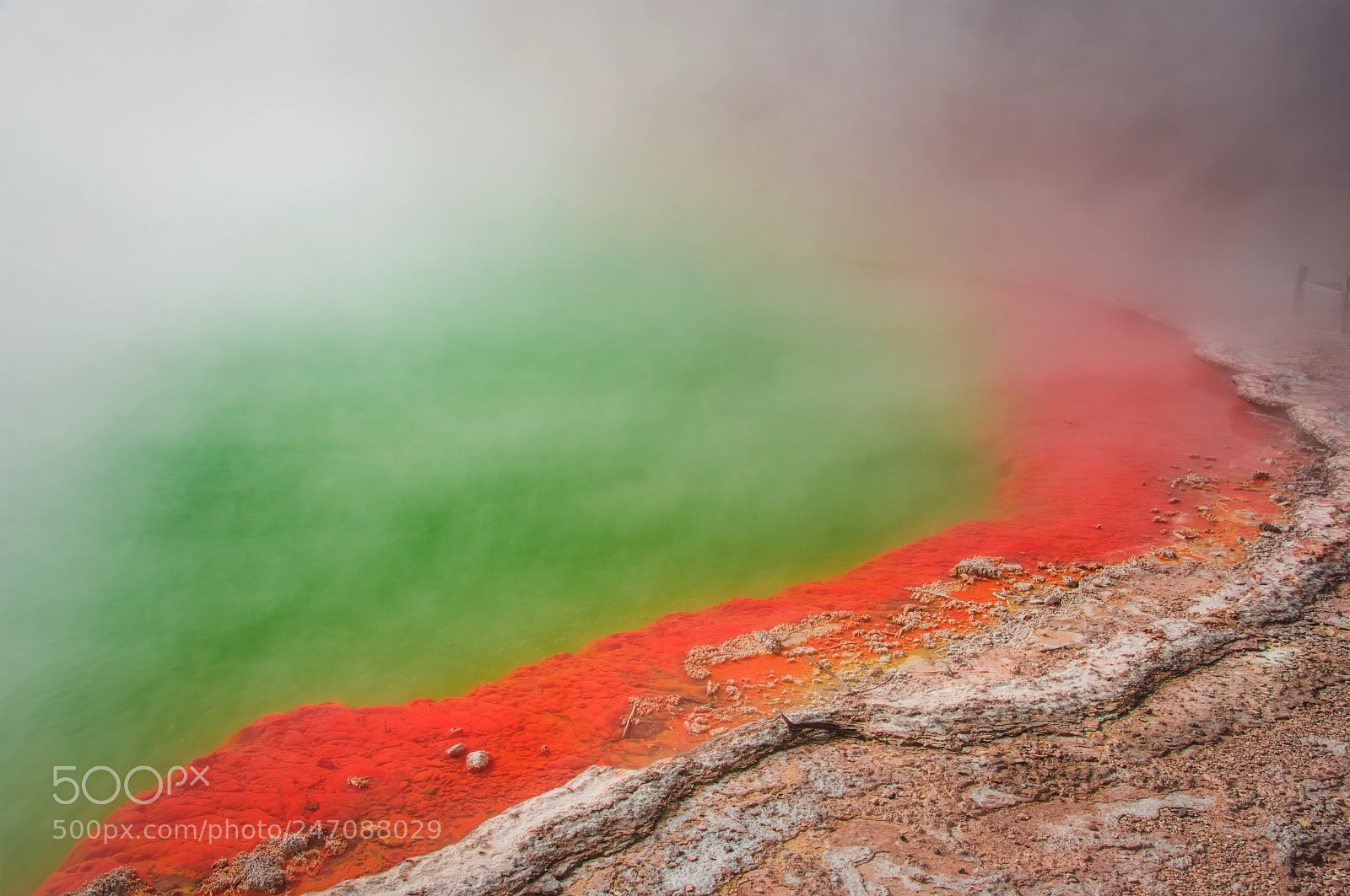 Nikon D810 sample photo. Naturally coloured photography