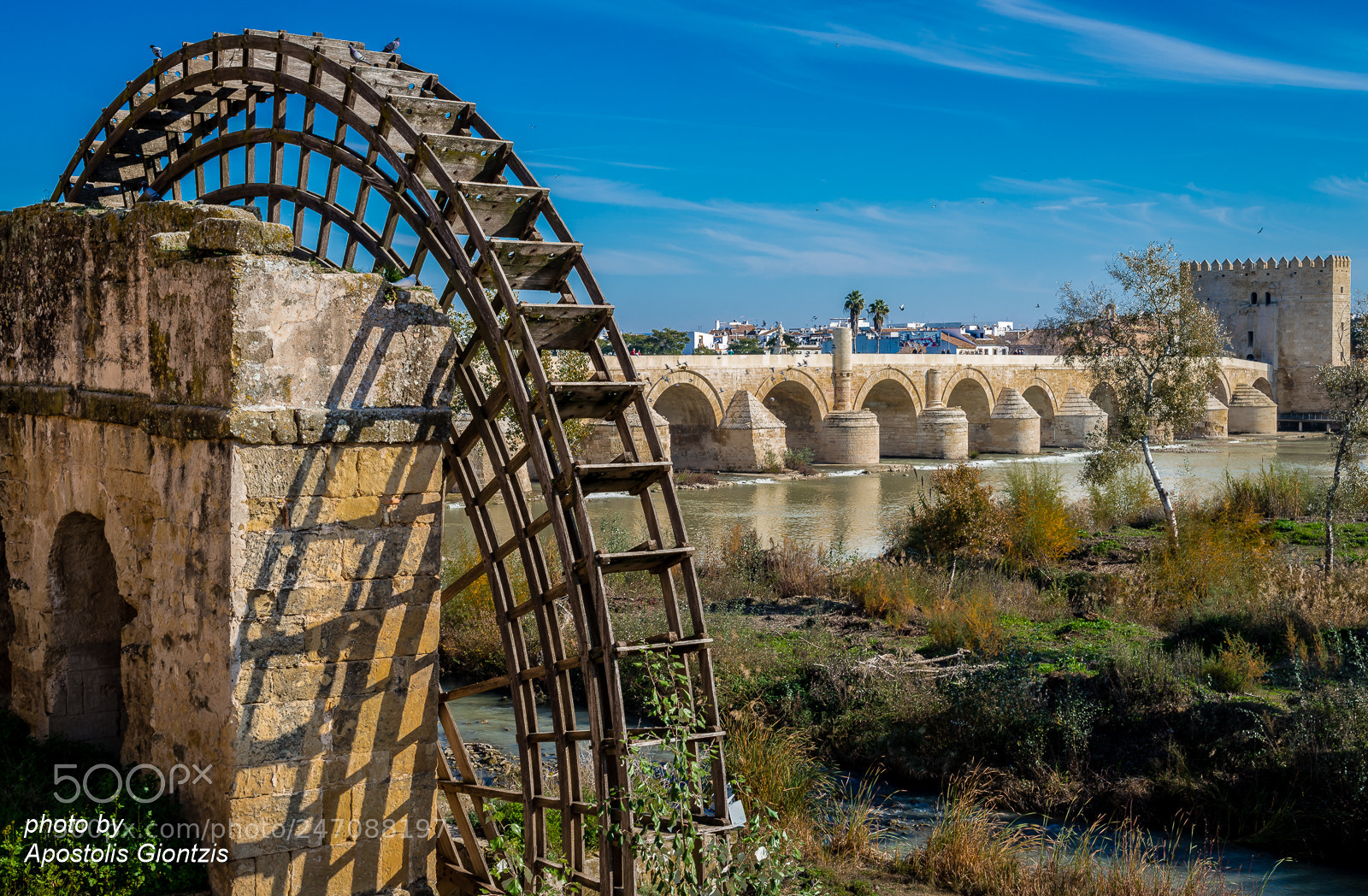 Nikon D800E sample photo. The mill and the photography