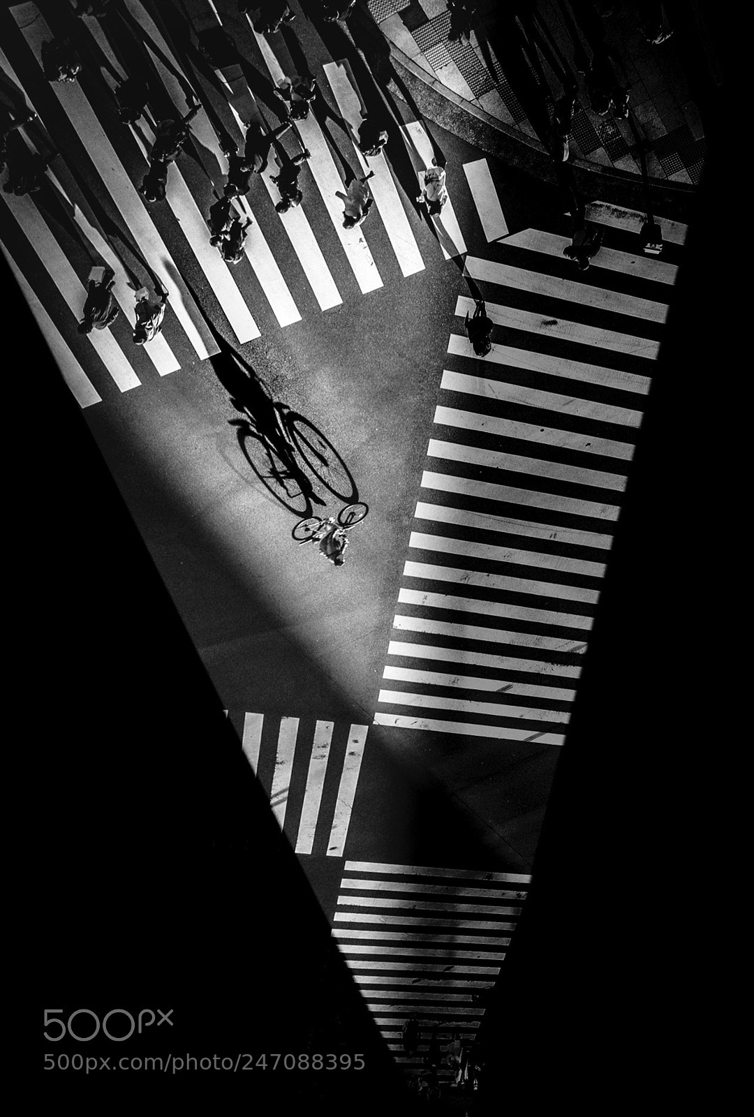 Leica M Monochrom (Typ 246) sample photo. Whats your angle photography