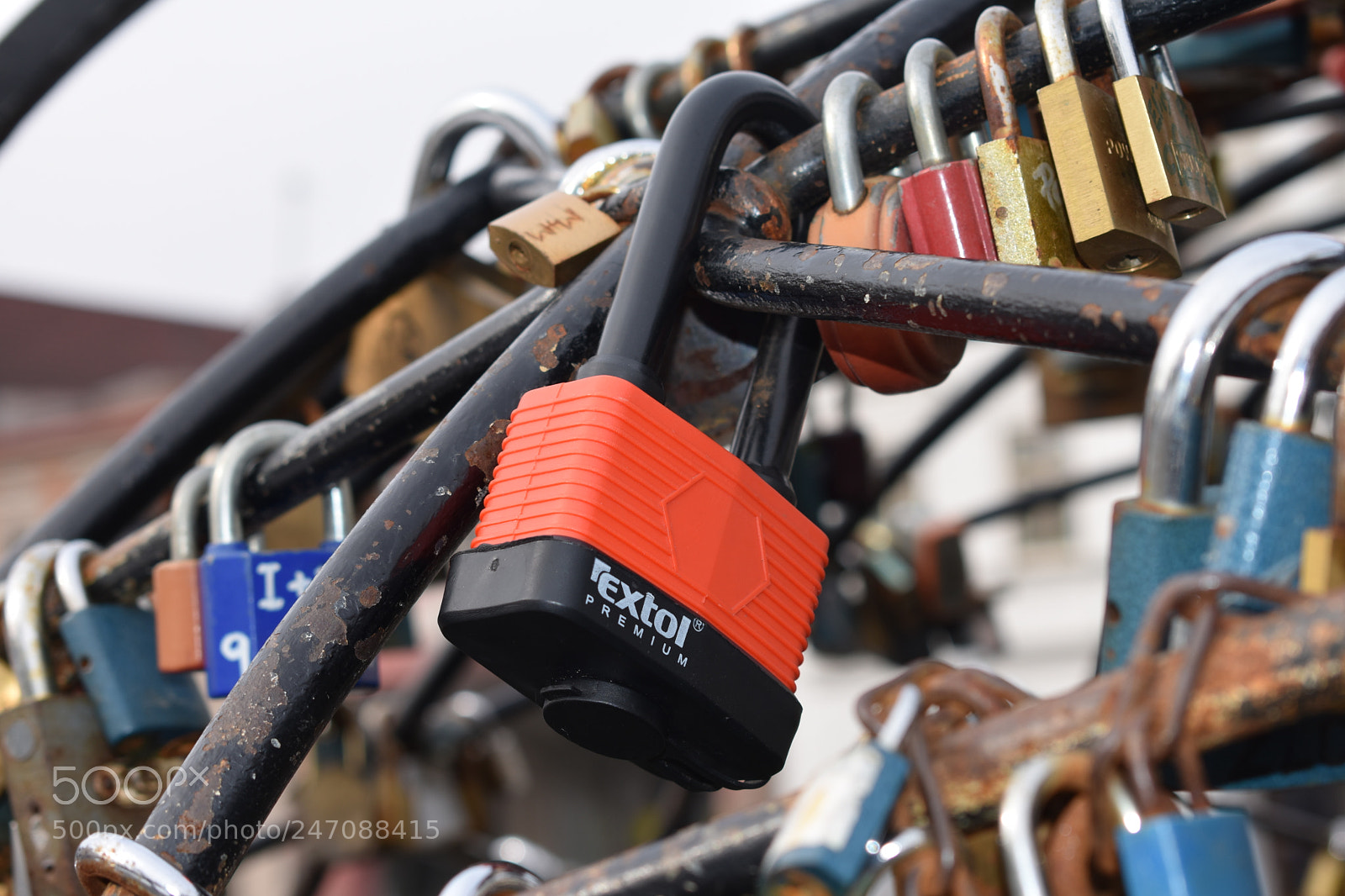 Nikon D3400 sample photo. Biggest love photography