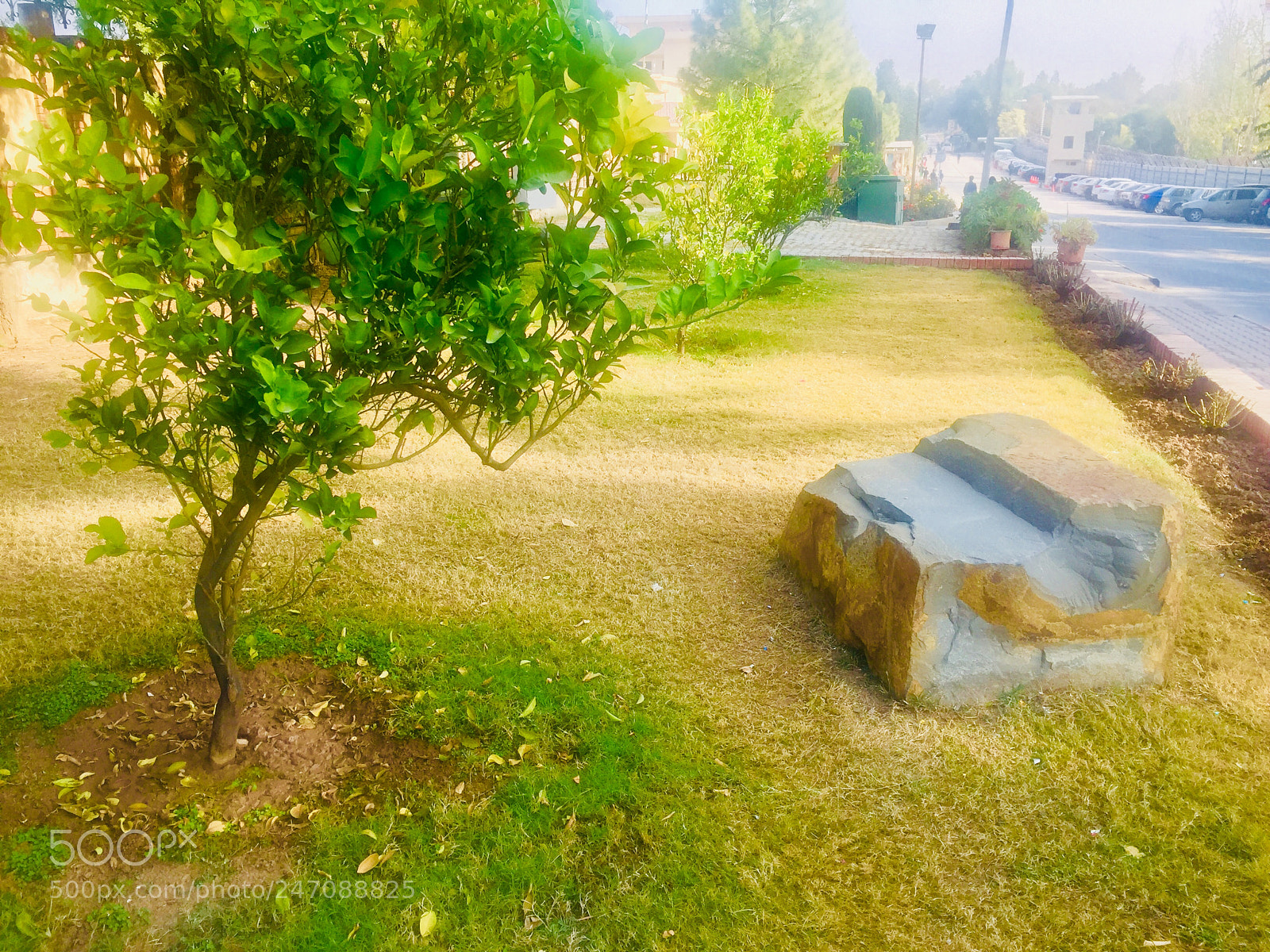 Apple iPhone 6 sample photo. Untitled photography