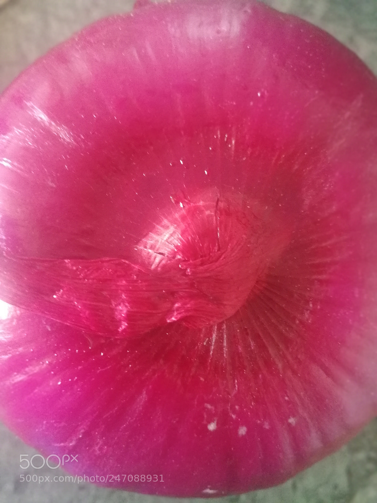HUAWEI Honor 9 sample photo. Onion photography