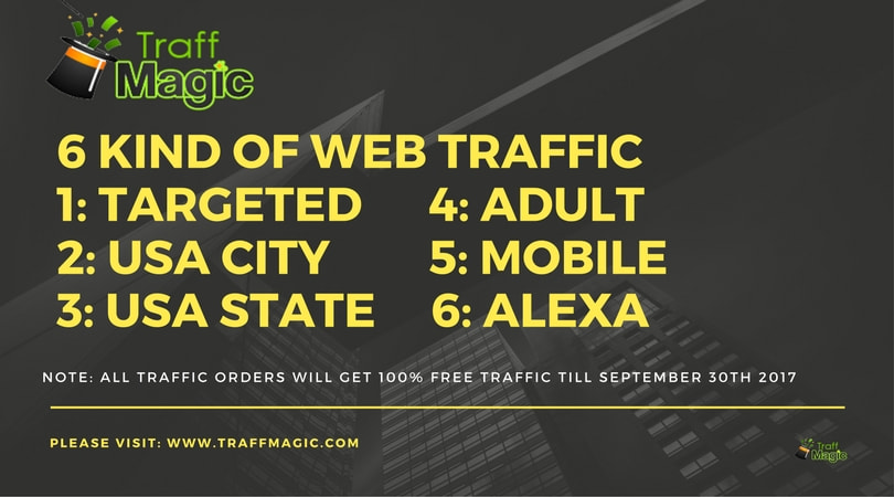 Targeted Web Traffic And Quality SEO