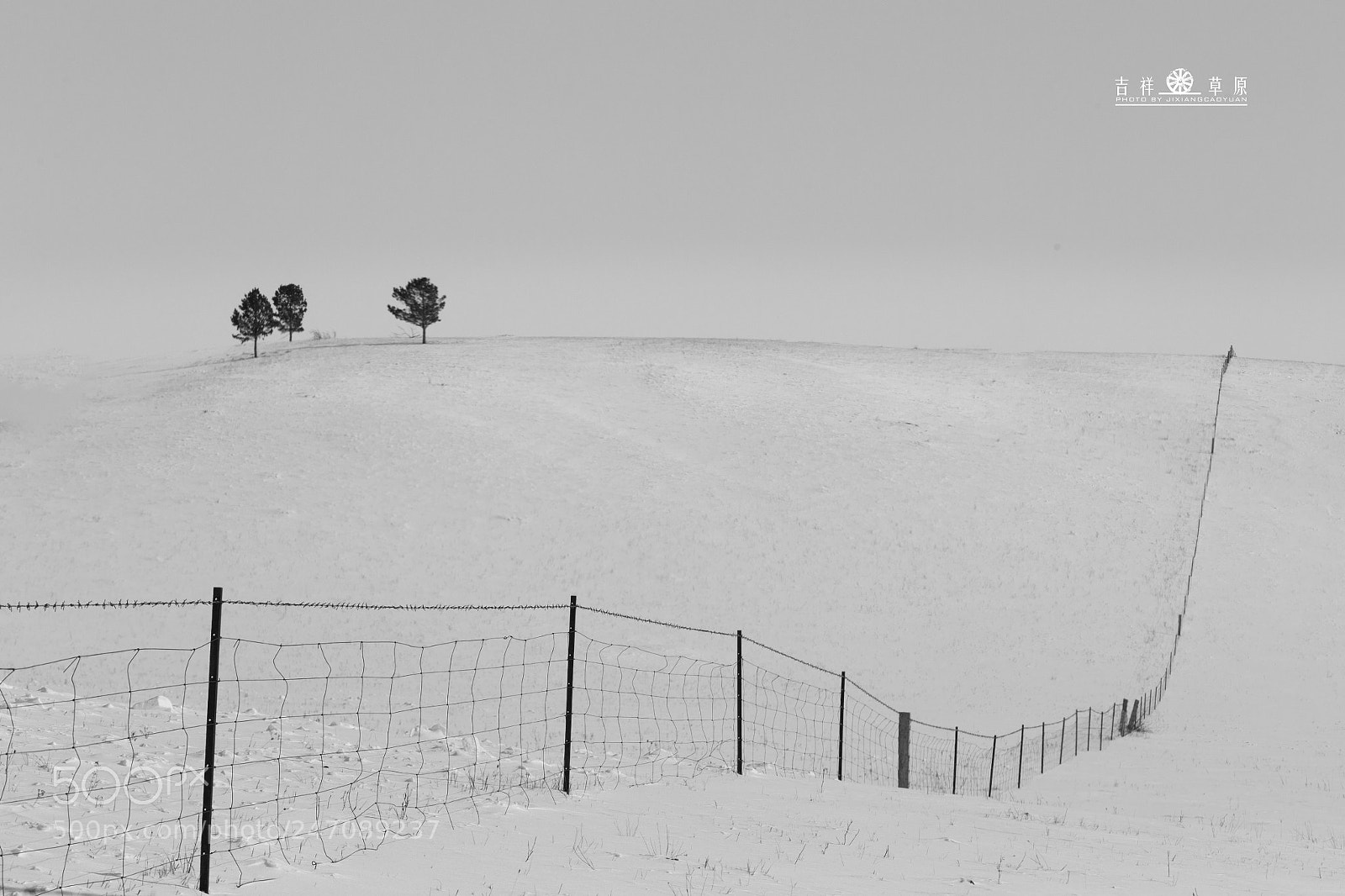 Canon EOS-1D X sample photo. Untitled photography