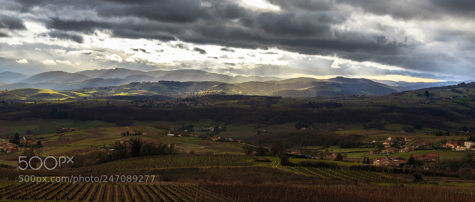 Canon EOS 80D sample photo. Ray light on beaujolais photography