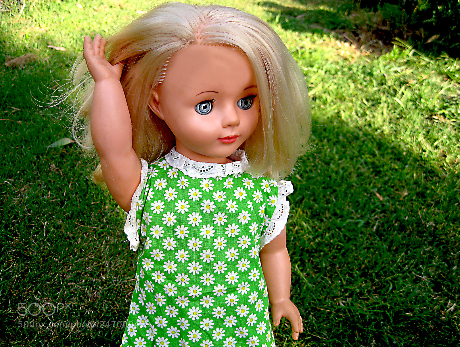 Canon DIGITAL IXUS 960 IS sample photo. Pretty polly photography
