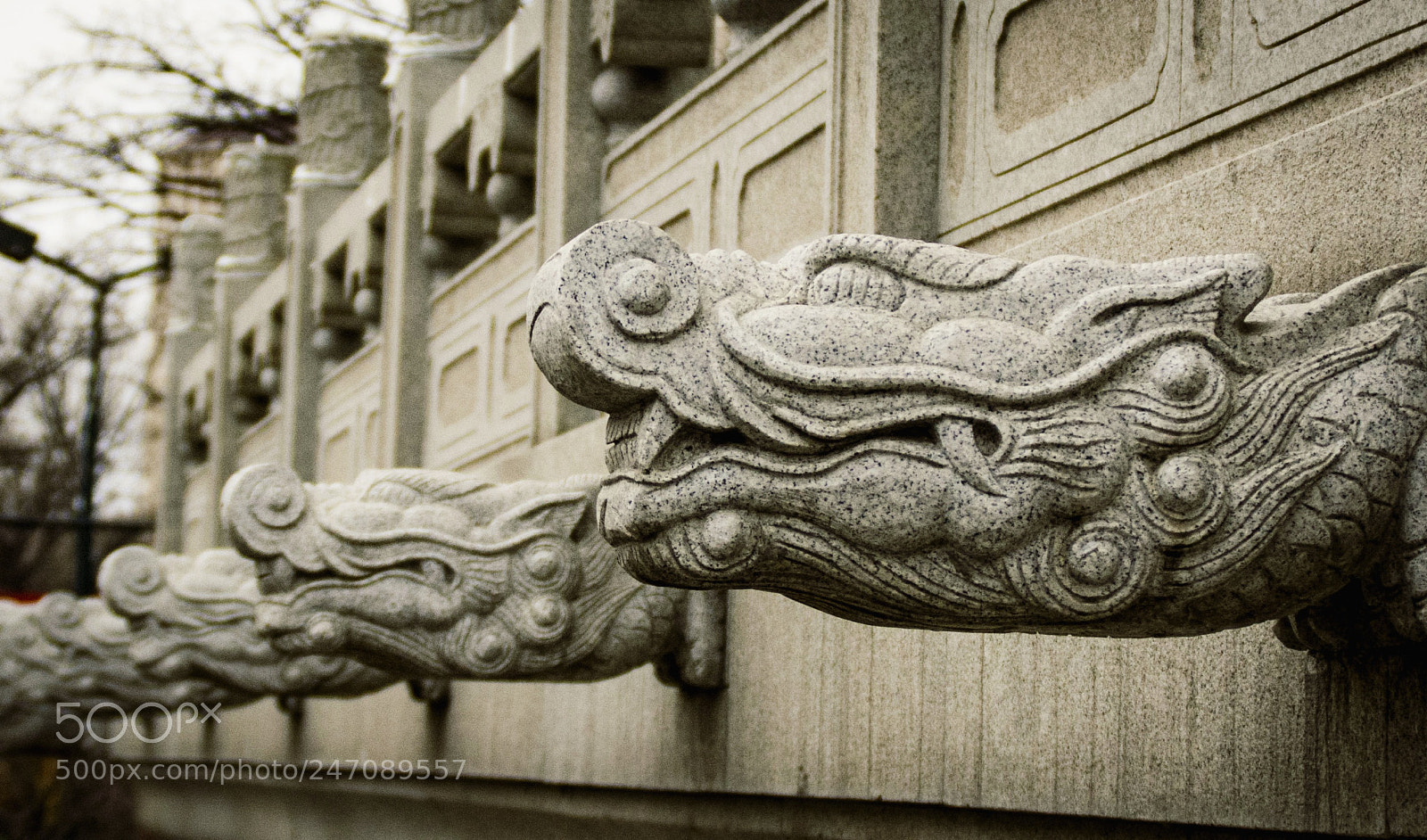 Nikon D7100 sample photo. Untitled photography