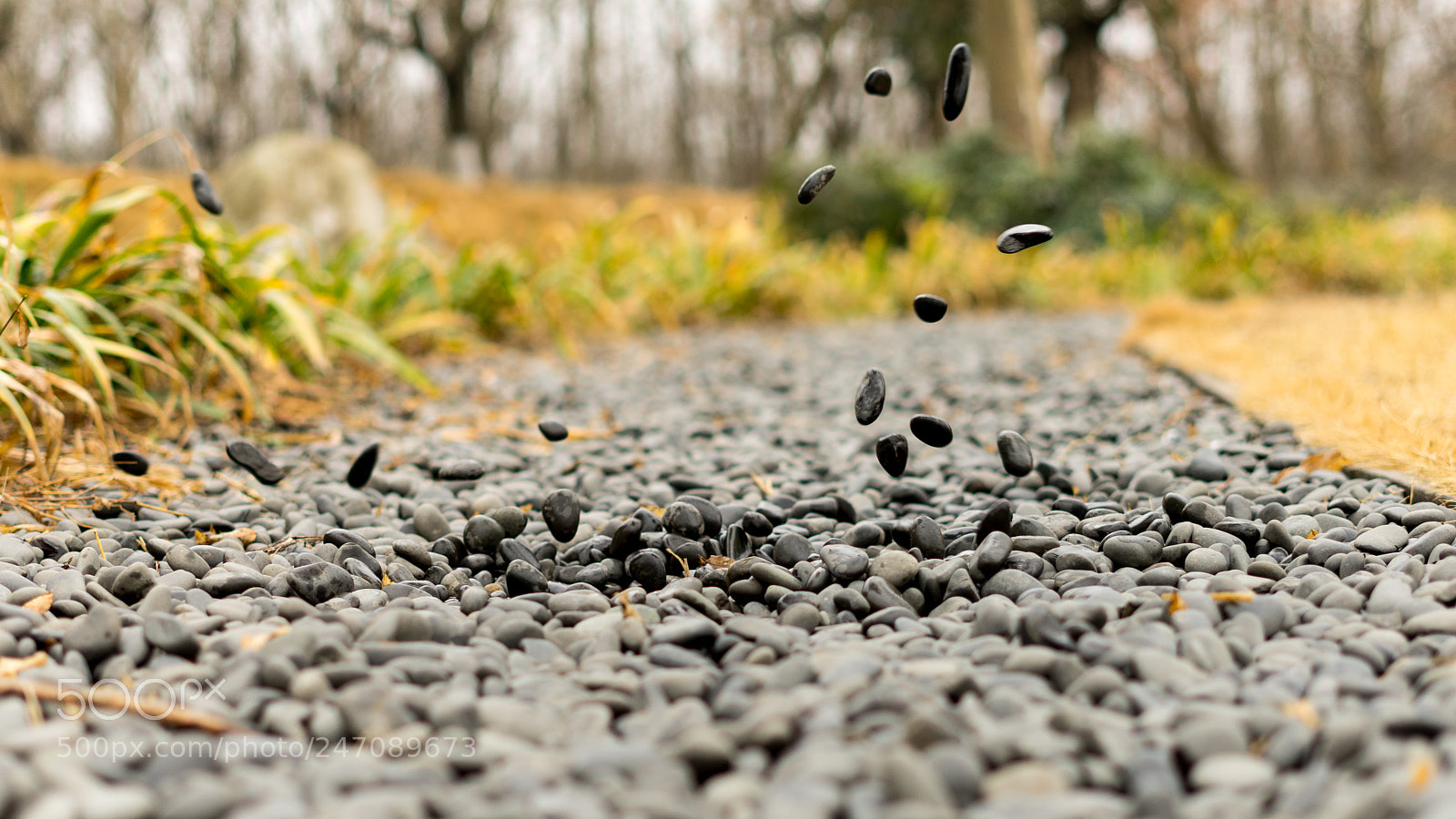 Sony a7 II sample photo. Untitled photography